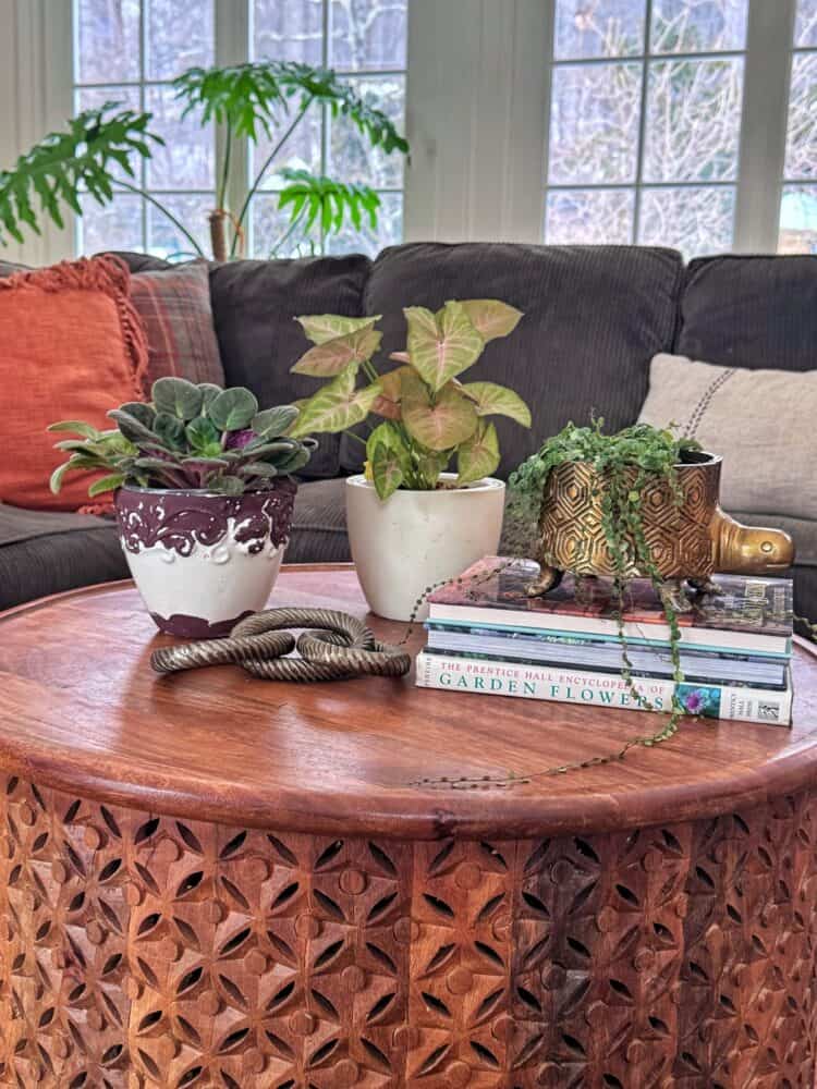 A carved wooden coffee table holds three potted plants, two books, and decorative items in a cozy living room with a dark sofa, orange cushions, and large windows letting in natural light.