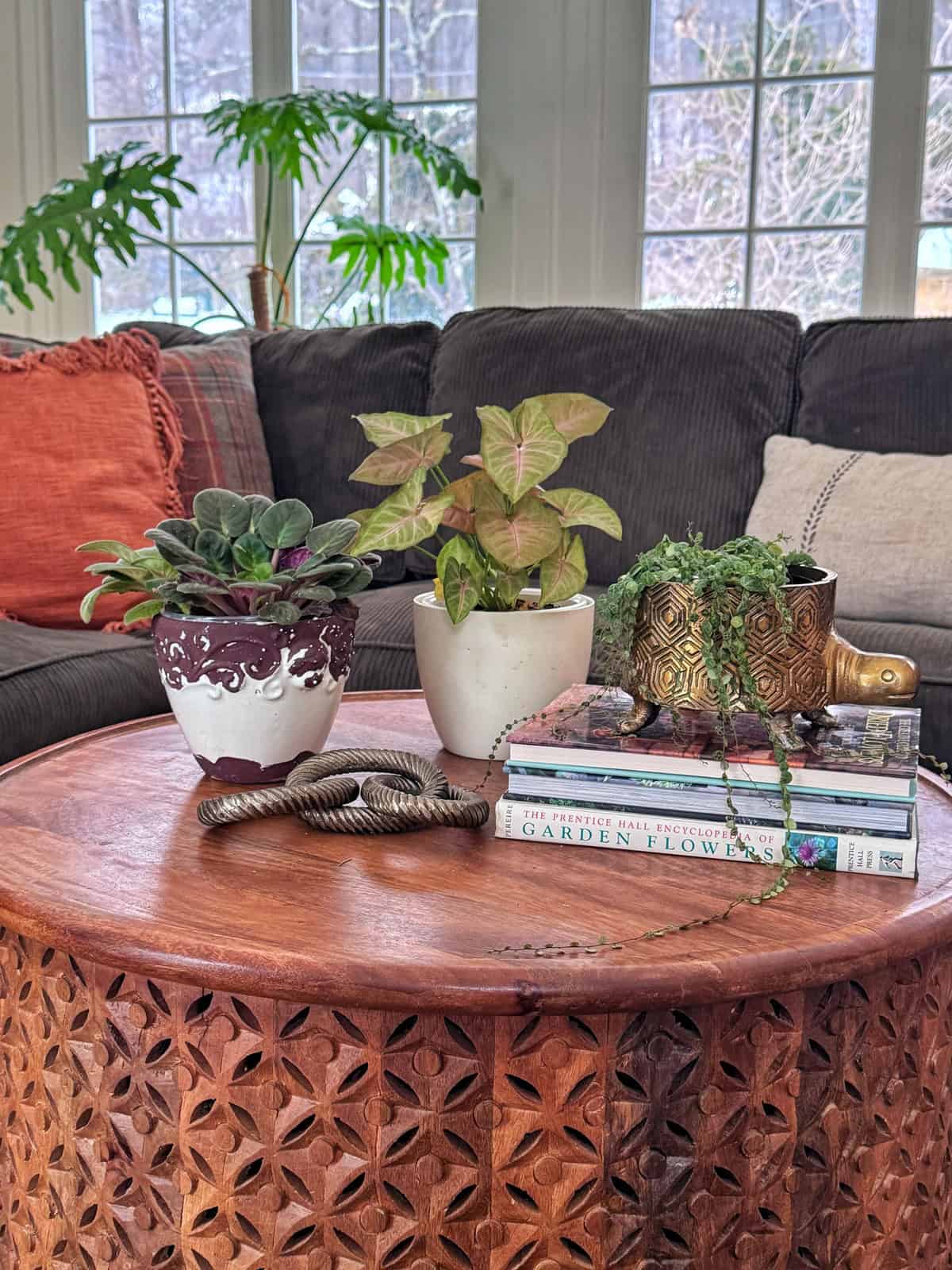 A wooden coffee table with carved patterns holds three potted plants, a coil-shaped decor piece, and stacked books about garden flowers. A gray couch with orange and plaid pillows sits behind the table, near large windows.