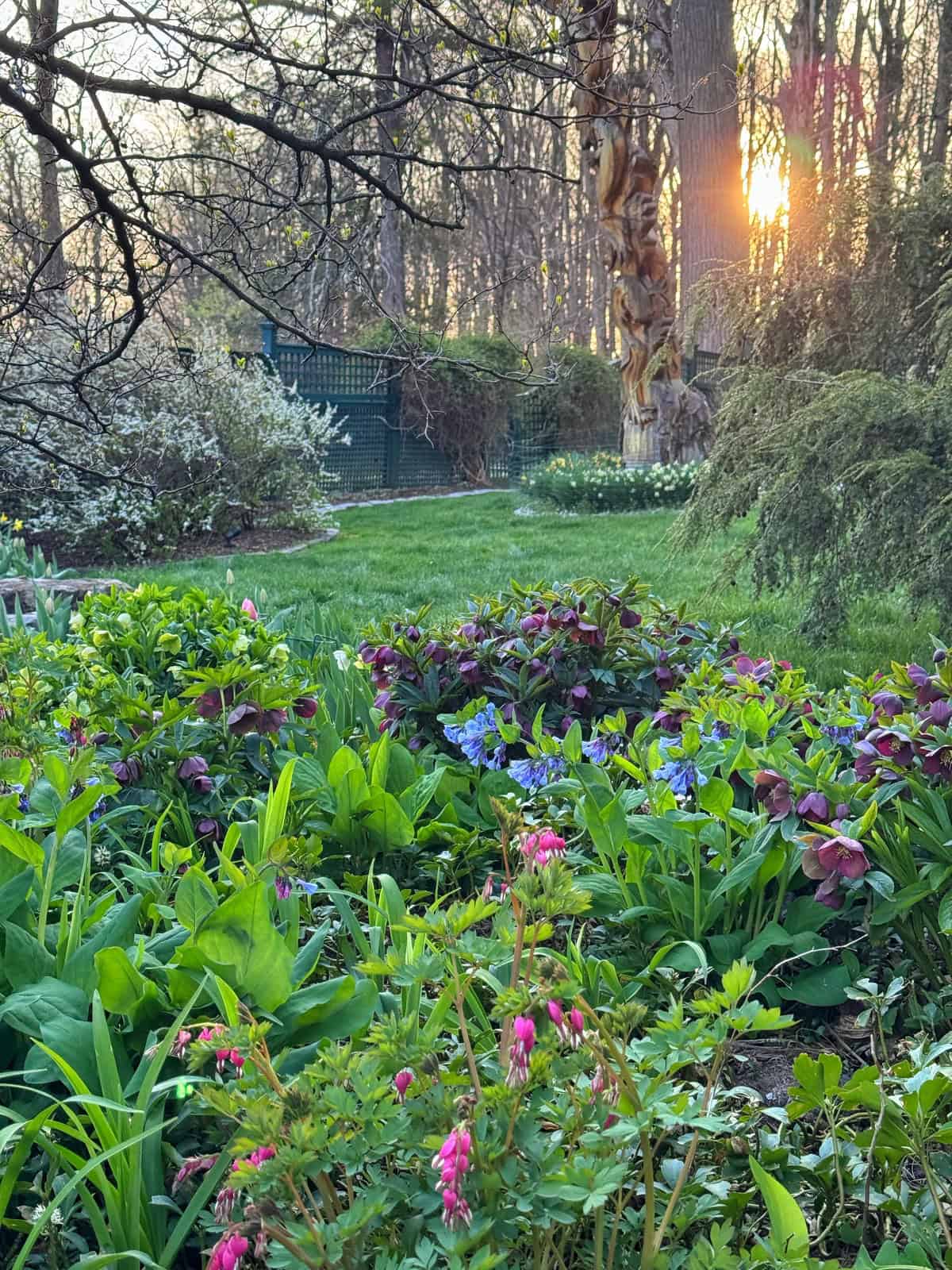A lush garden with pink and purple flowers, green foliage, and a grassy path. Sunlight filters through trees in the background, creating a peaceful, natural scene.