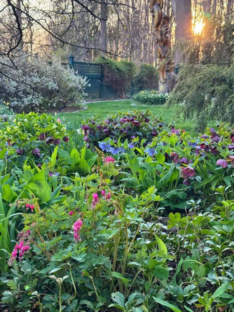 A lush garden with blooming pink, purple, and blue flowers, surrounded by green foliage. Trees and shrubs border the scene, with sunlight shining through the branches in the background.