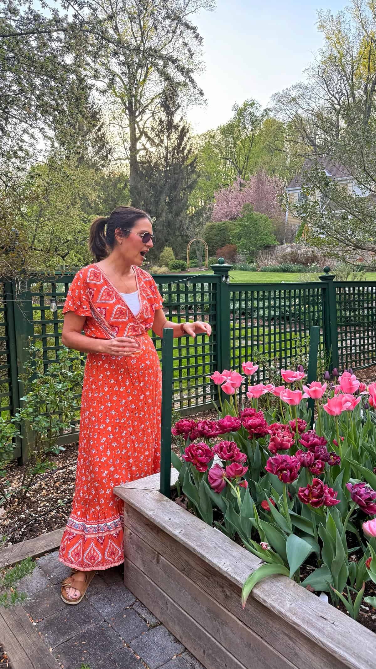 A woman in a red floral dress stands beside a raised garden bed filled with pink and purple tulips. She wears sunglasses and is looking at the flowers. A green fence and trees are in the background.