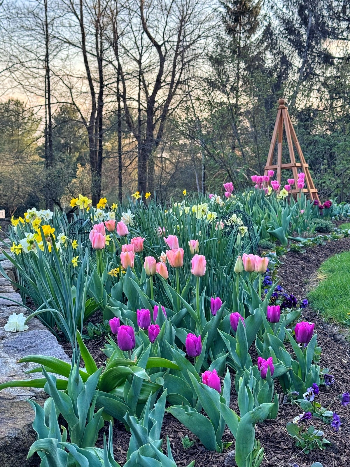 A vibrant garden bed with blooming pink, purple, and yellow flowers, surrounded by green foliage. A stone border lines the left side, and a wooden garden trellis stands in the background among tall trees.