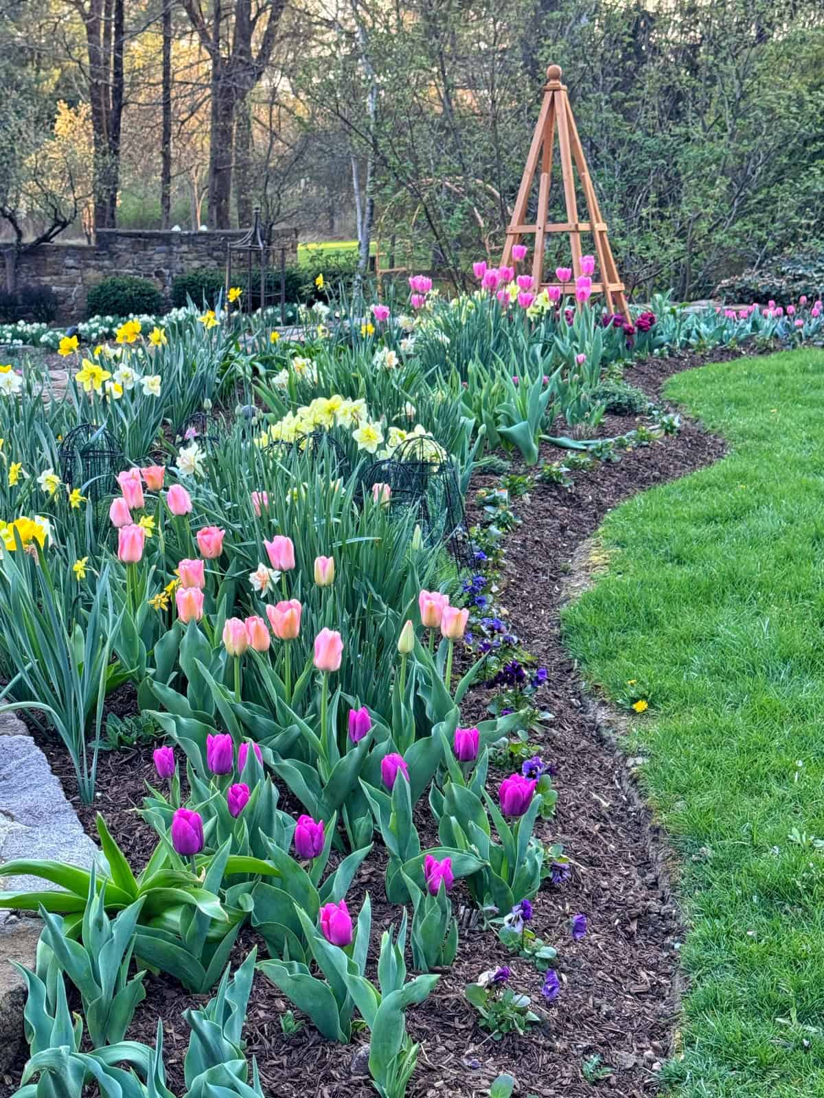 A colorful flower garden with pink, yellow, and purple tulips and daffodils borders a green lawn. A wooden trellis stands in the background with trees and bushes behind.