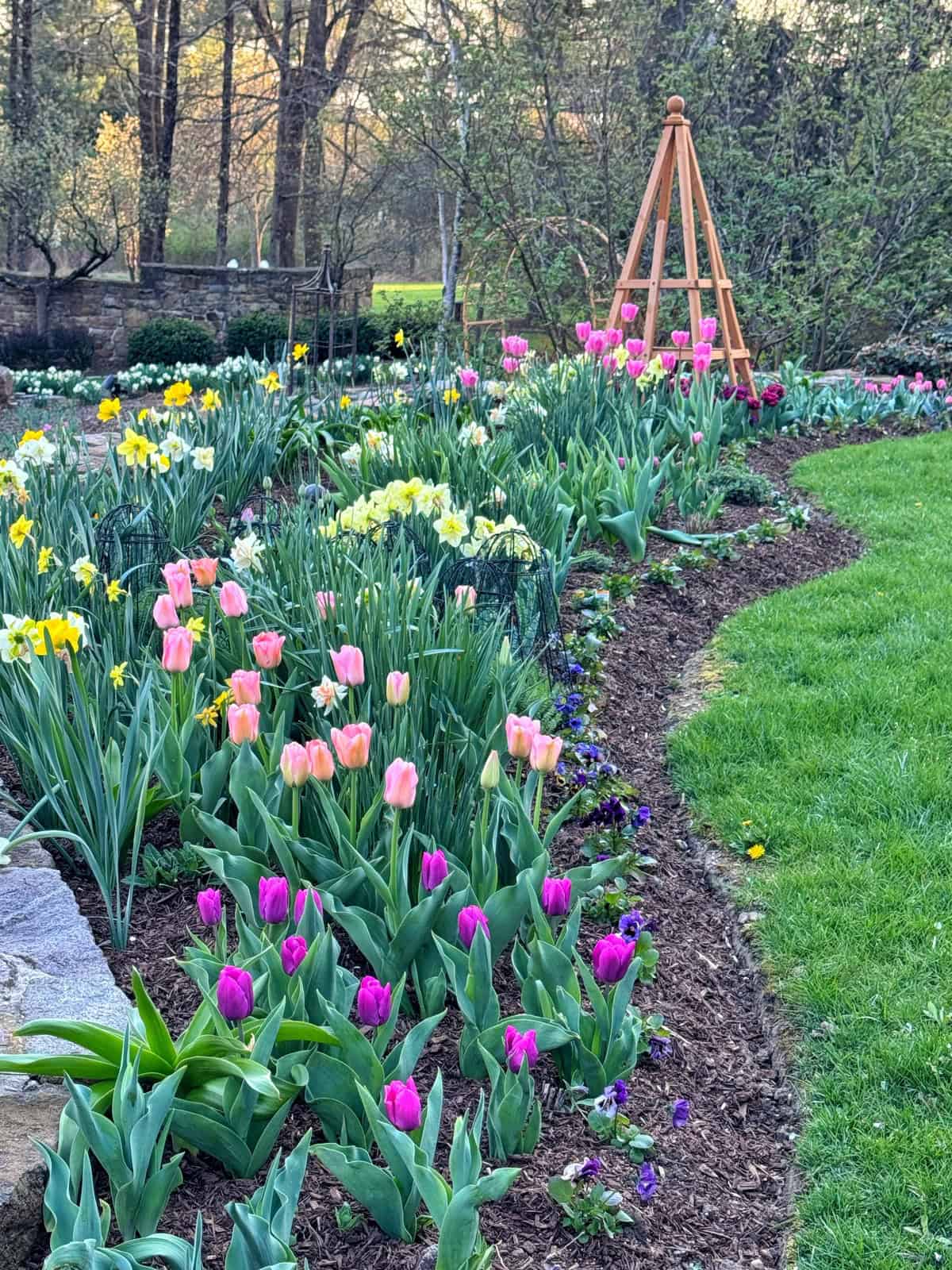 A vibrant garden bed with blooming tulips in pink, yellow, and purple, bordered by a green lawn. A wooden garden structure stands among the flowers, and trees and bushes fill the background.