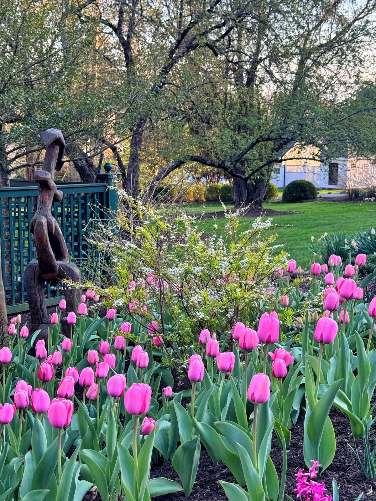 A garden with blooming pink tulips, leafy green plants, a wooden sculpture near a fence, and large trees in the background under a clear sky.