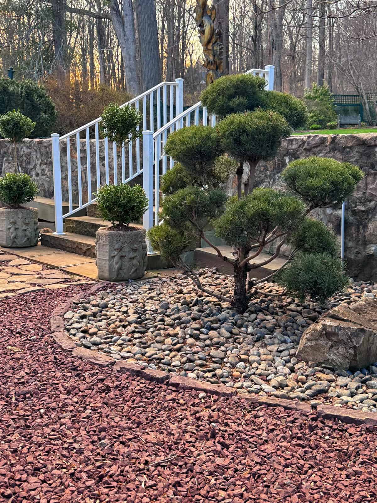A landscaped garden with a manicured tree on a bed of stones, potted shrubs, stone edging, red mulch, and white railing stairs leading up to a stone wall with trees in the background.