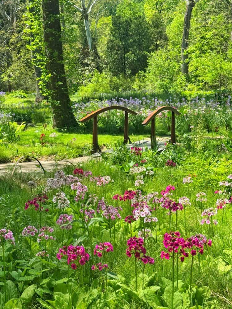 A lush garden path winds through blooming pink and purple flowers, leading to a small wooden bridge surrounded by vibrant green foliage.