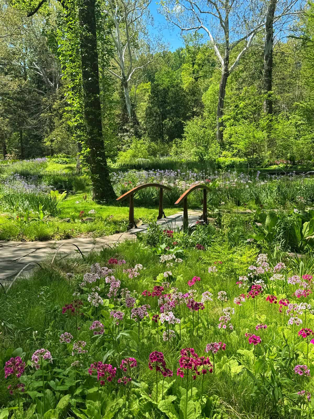 A stone pathway in the chanticleer garden leads to a small wooden bridge over a stream. The path is lined with colorful flowers and lush green grass. Beyond the bridge, trees and more flowers create a peaceful garden scene.