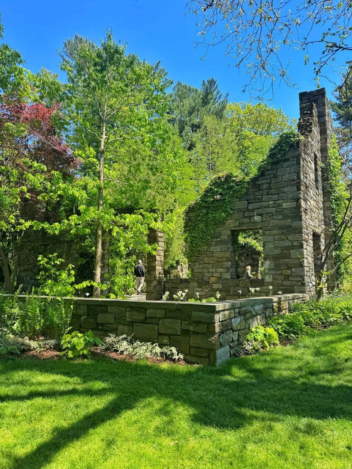 Stone ruins at chanticleer garden overgrown with ivy, surrounded by lush green trees and a bright blue sky.