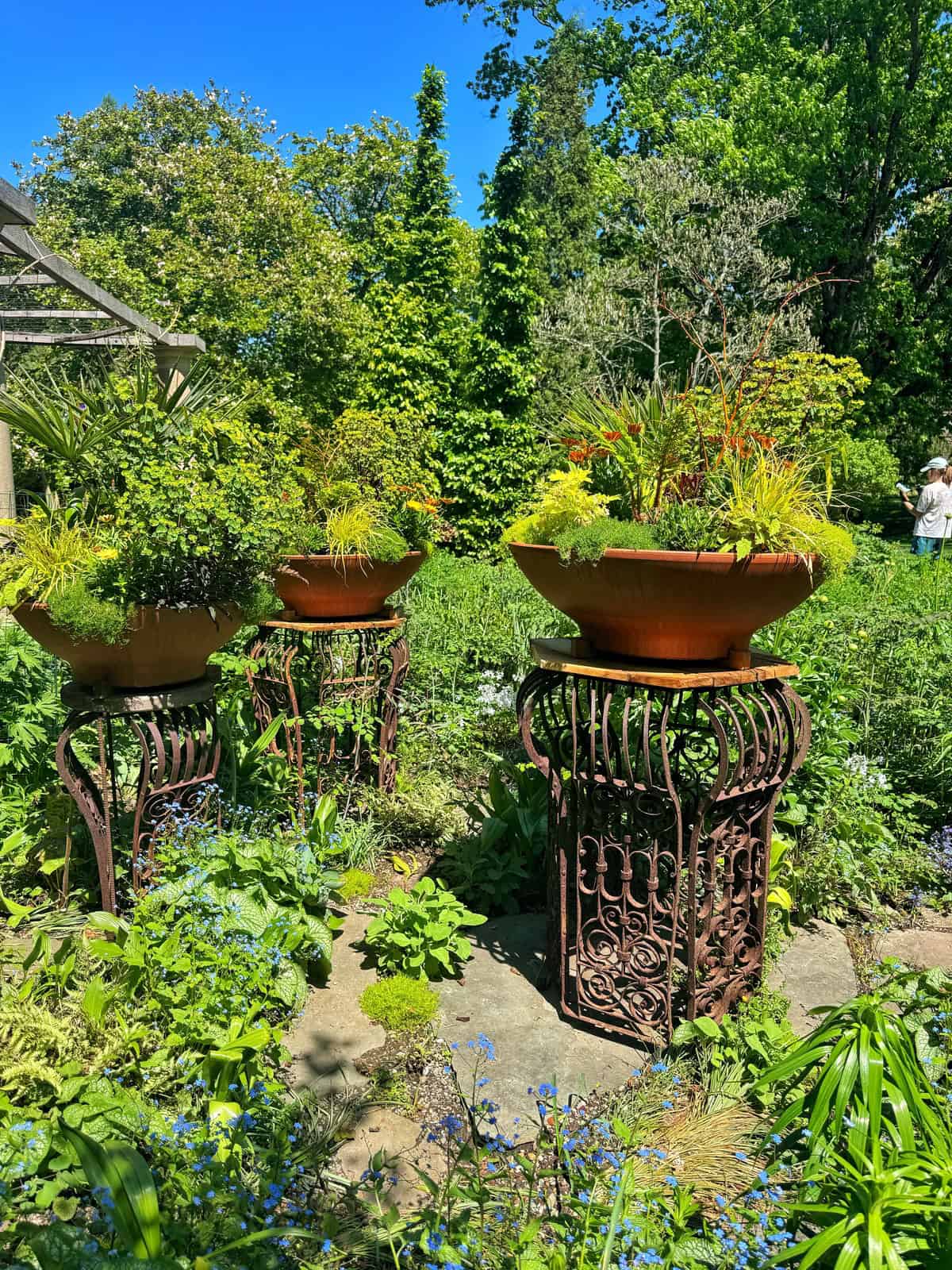 Two large terracotta bowls filled with lush mixed plants sit atop ornate rusty iron pedestals in a sunny garden, surrounded by blue flowers, green foliage, and trees under a bright blue sky.