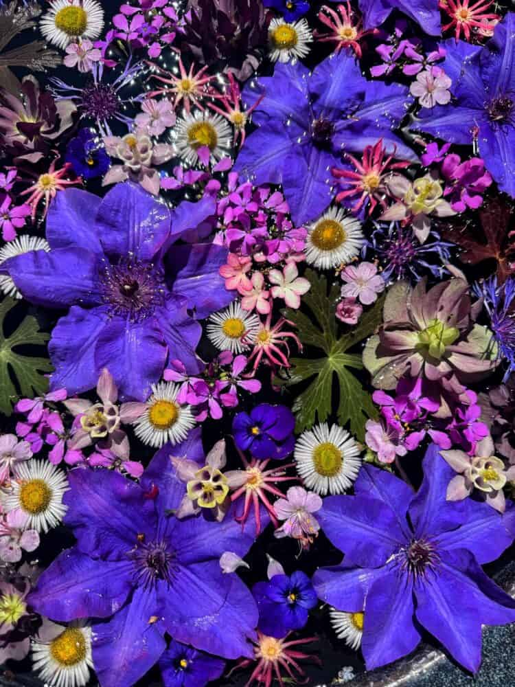 A vibrant mix of flowers, including large purple clematis, small pink, white, and yellow blooms, and green leaves, all arranged closely together, creating a colorful, detailed floral display.