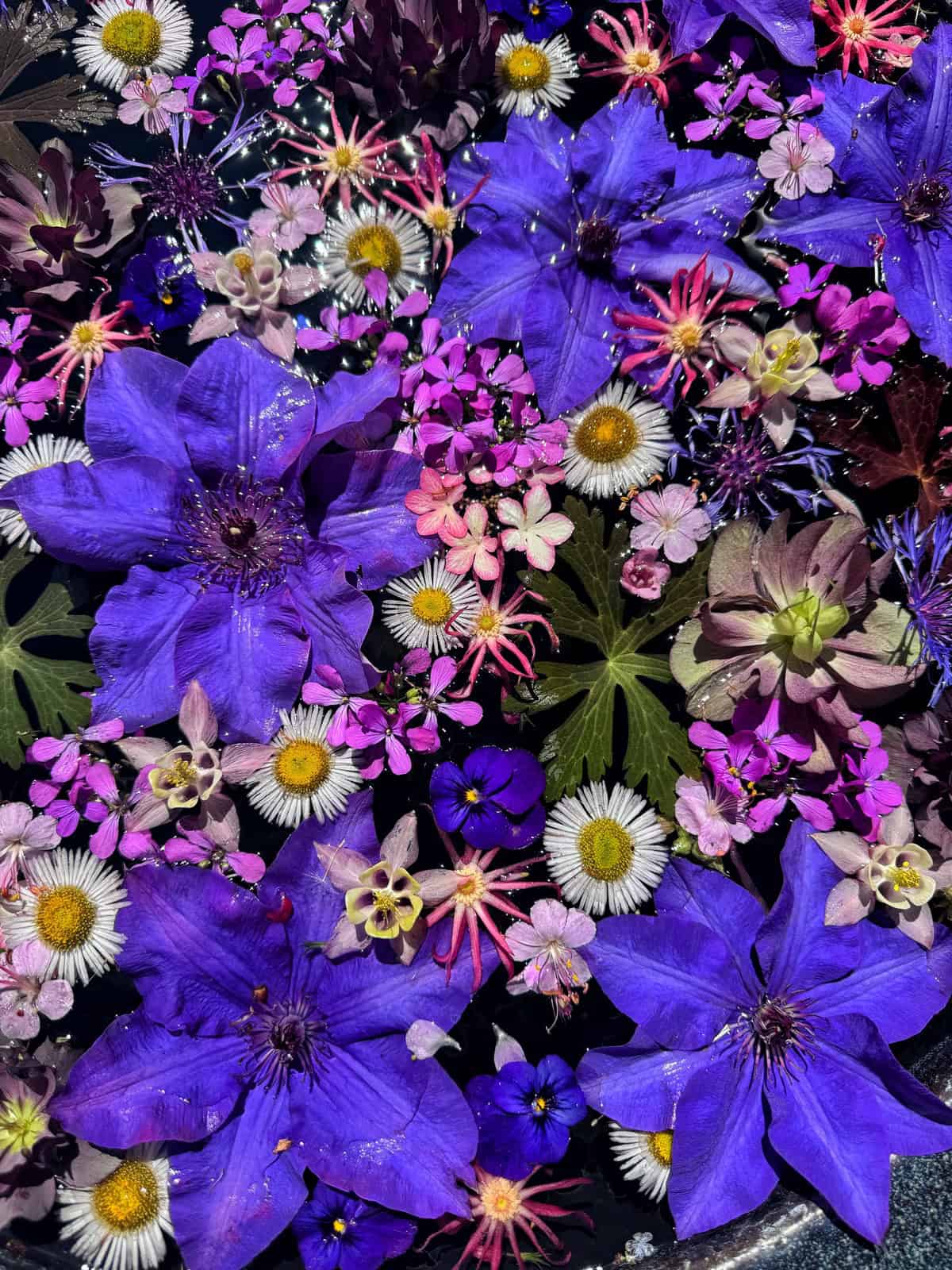 A vibrant mix of flowers, including large purple clematis, small pink, white, and yellow blooms, and green leaves, all arranged closely together, creating a colorful, detailed floral display.