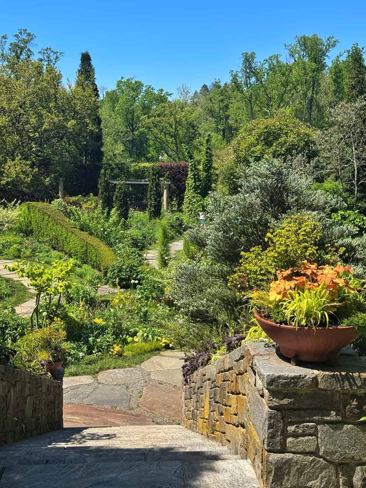 Stone steps lead down to a lush garden filled with diverse green plants and trees under a clear blue sky. A large planter with colorful foliage is on the right, and paths wind through the vibrant landscape.