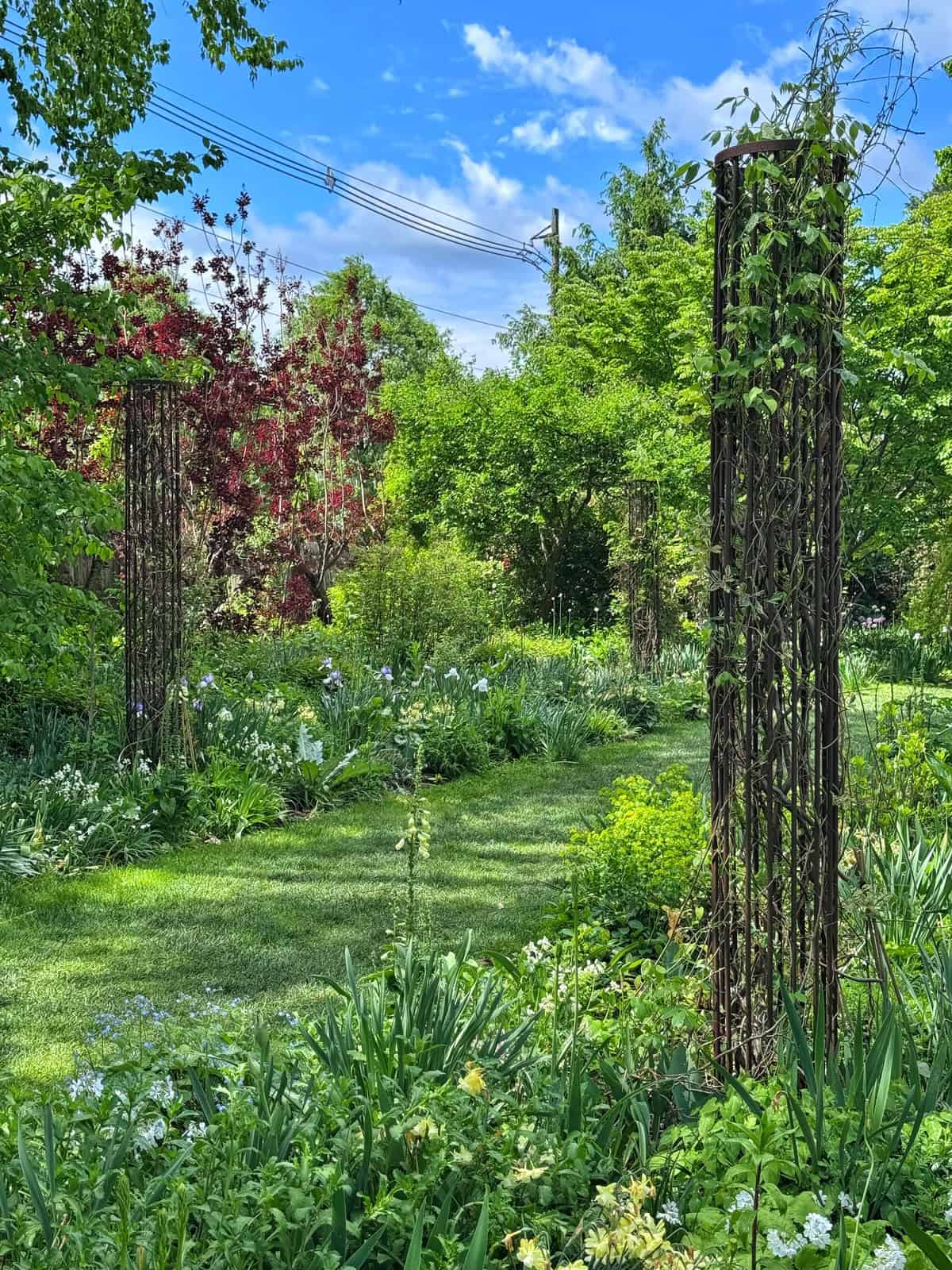 Chanticleer garden with green grass, dense foliage, blooming flowers, and tall metal trellises supporting climbing plants under a bright blue sky with clouds. Trees frame the vibrant, peaceful scene.
