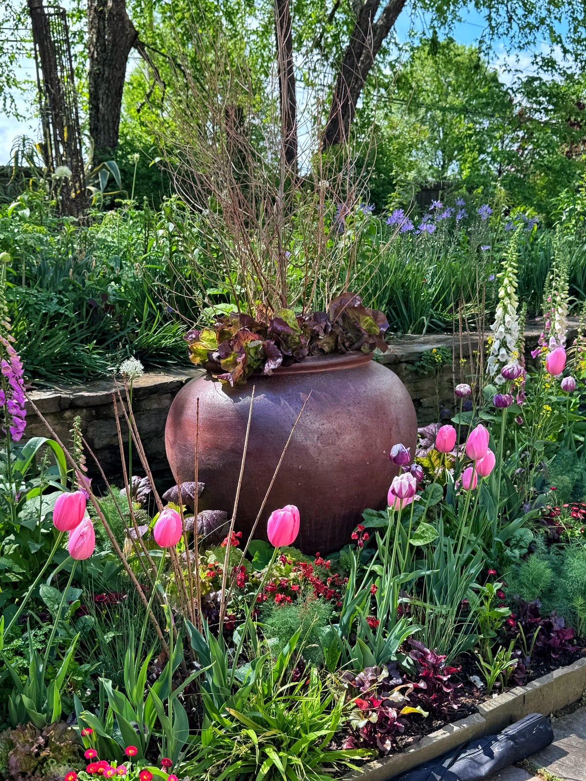 A large, round clay pot sits in a garden surrounded by blooming pink tulips, purple flowers, and lush green foliage, with trees and a stone wall in the background on a sunny day.