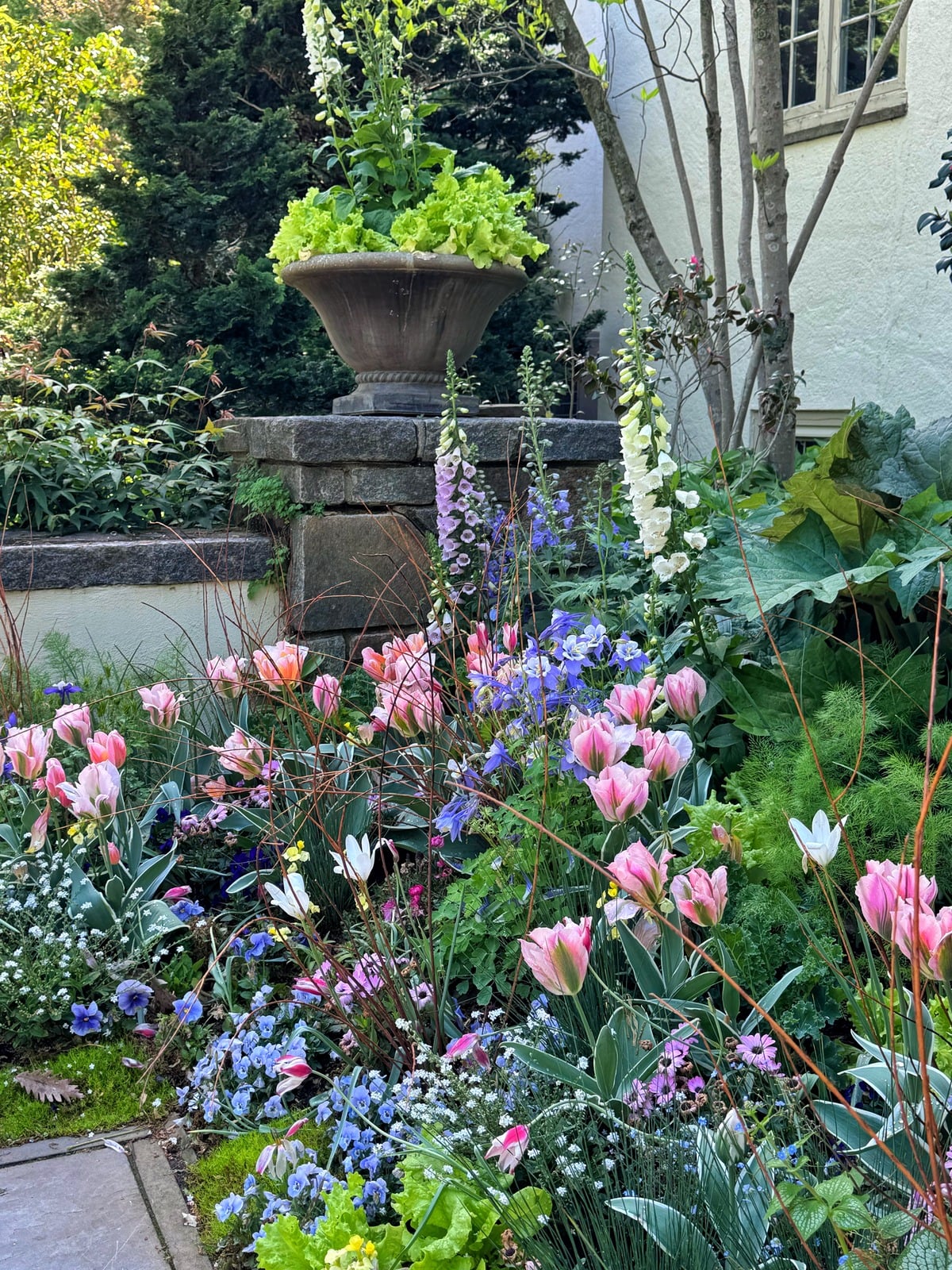 A vibrant garden with blooming pink tulips, white foxgloves, and purple flowers, lush greenery, and a large planter with leafy greens atop a stone wall beside a white house and window.