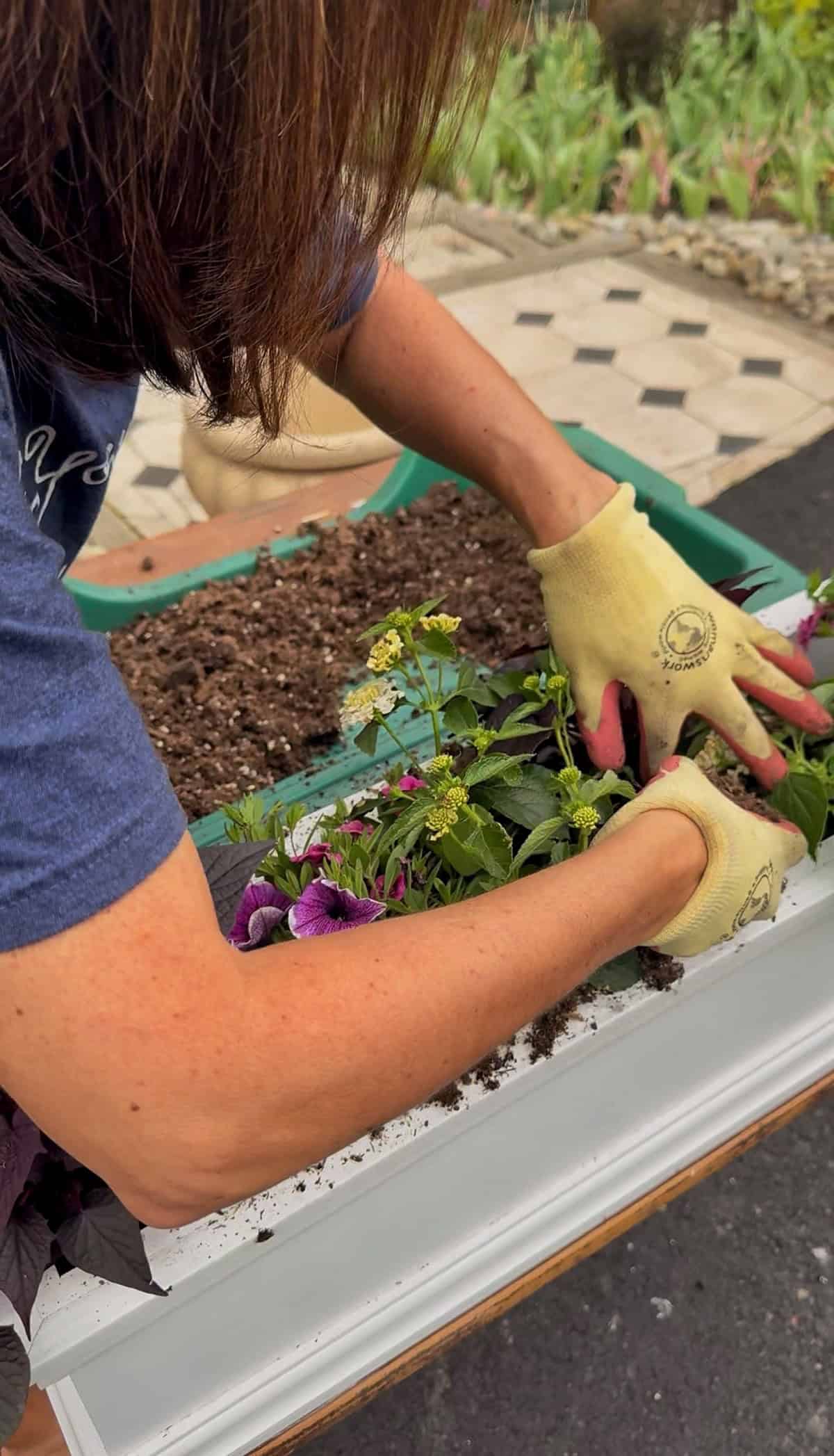 A person wearing yellow gardening gloves is planting colorful flowers in a rectangular planter box filled with soil. The person is leaning over, carefully arranging the plants.