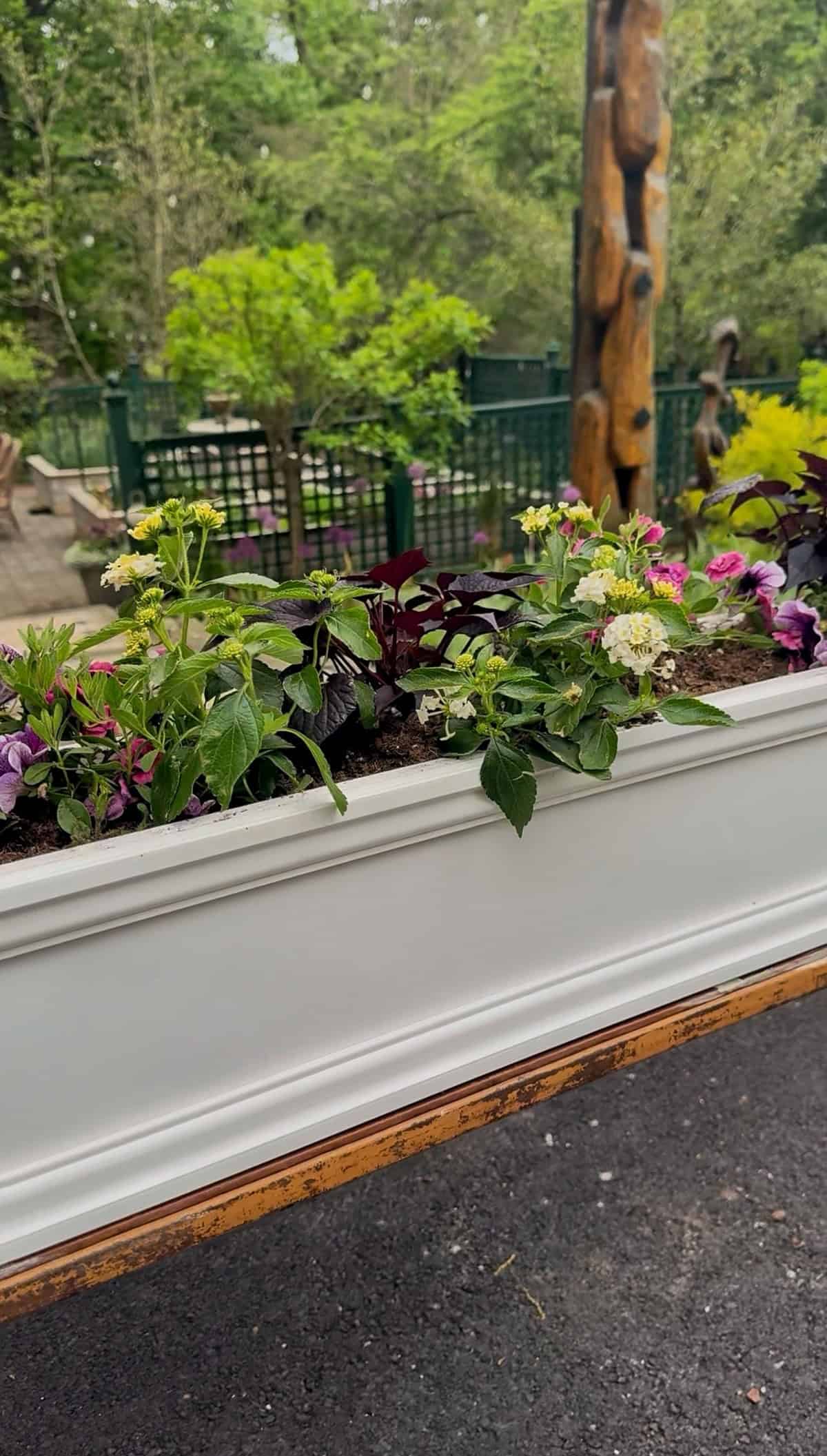 A white rectangular planter filled with blooming flowers and green foliage sits on a wooden ledge outdoors, with a garden and black metal fence in the blurred background.