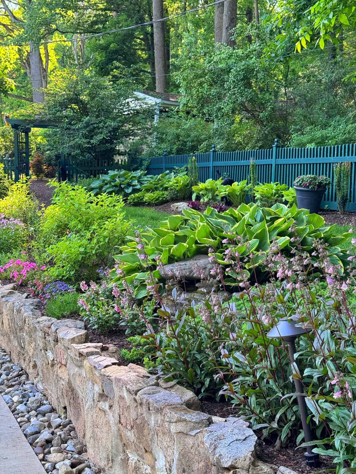 A lush garden with vibrant green plants, pink and purple flowers, a stone wall, and a small rock bed. A green fence and trees are in the background, with sunlight filtering through the foliage.