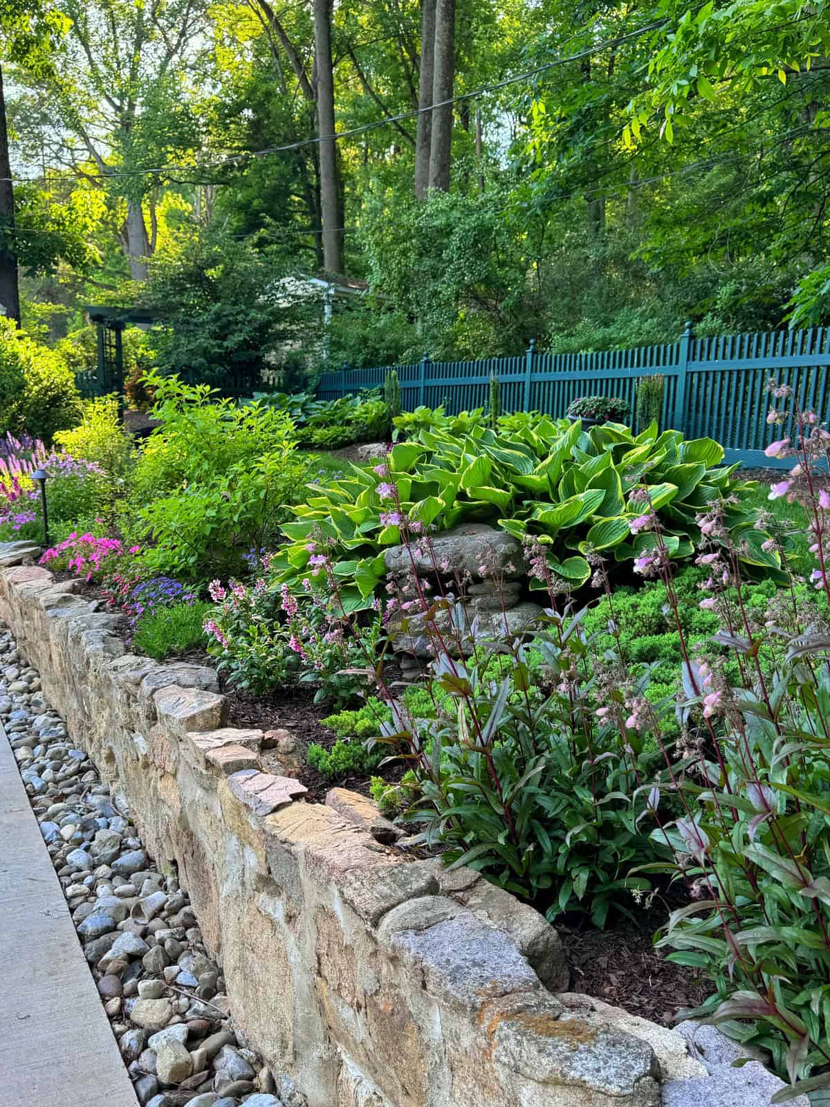 A lush garden with blooming flowers, green plants, and shrubs sits behind a stone retaining wall. A path runs alongside the wall, and a blue fence and tall trees are in the background under bright daylight.