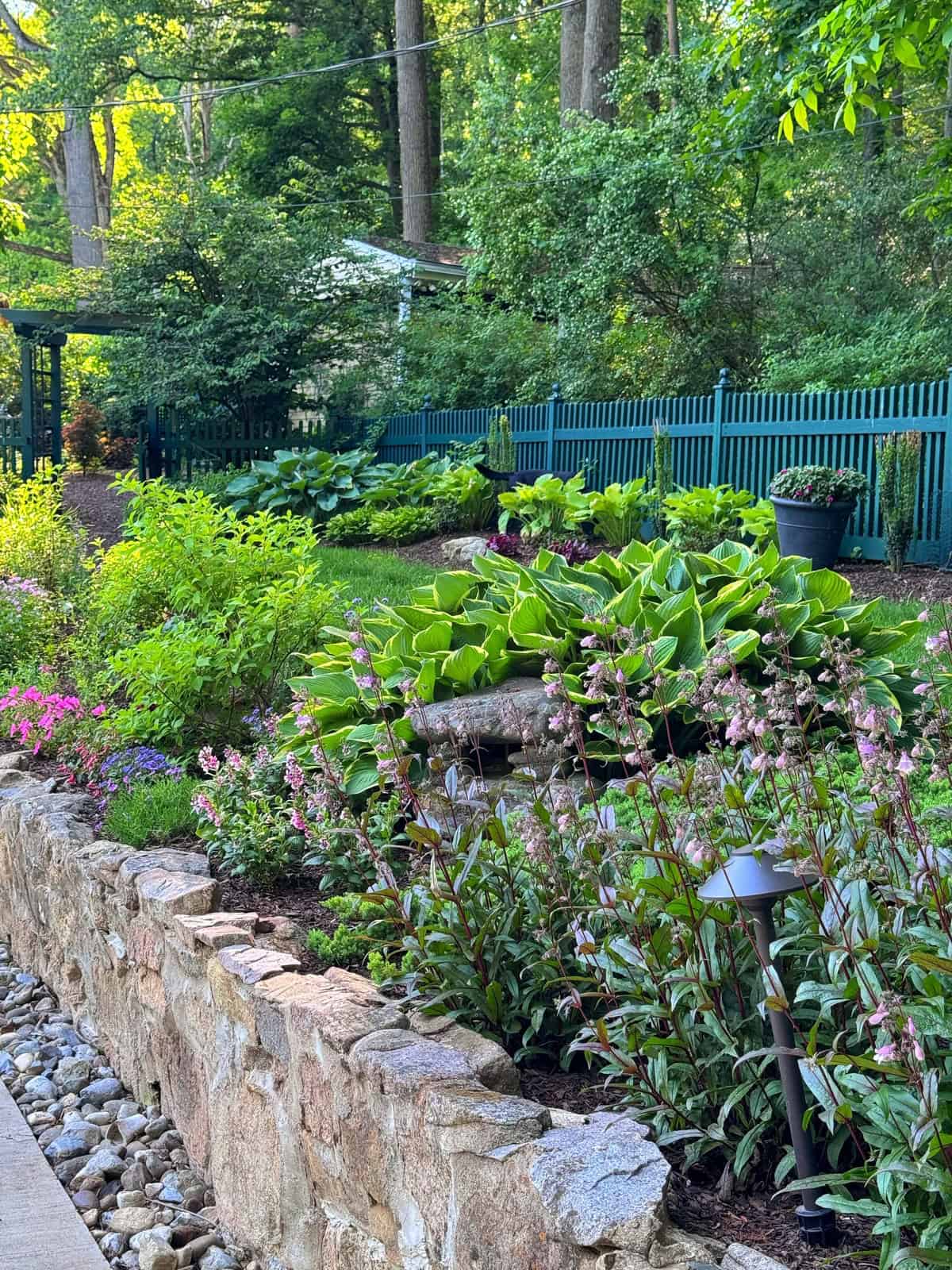A lush garden with various green plants and blooming flowers beside a stone wall. There's a green fence in the background, trees, and soft sunlight filtering through the foliage, creating a peaceful, vibrant outdoor scene.