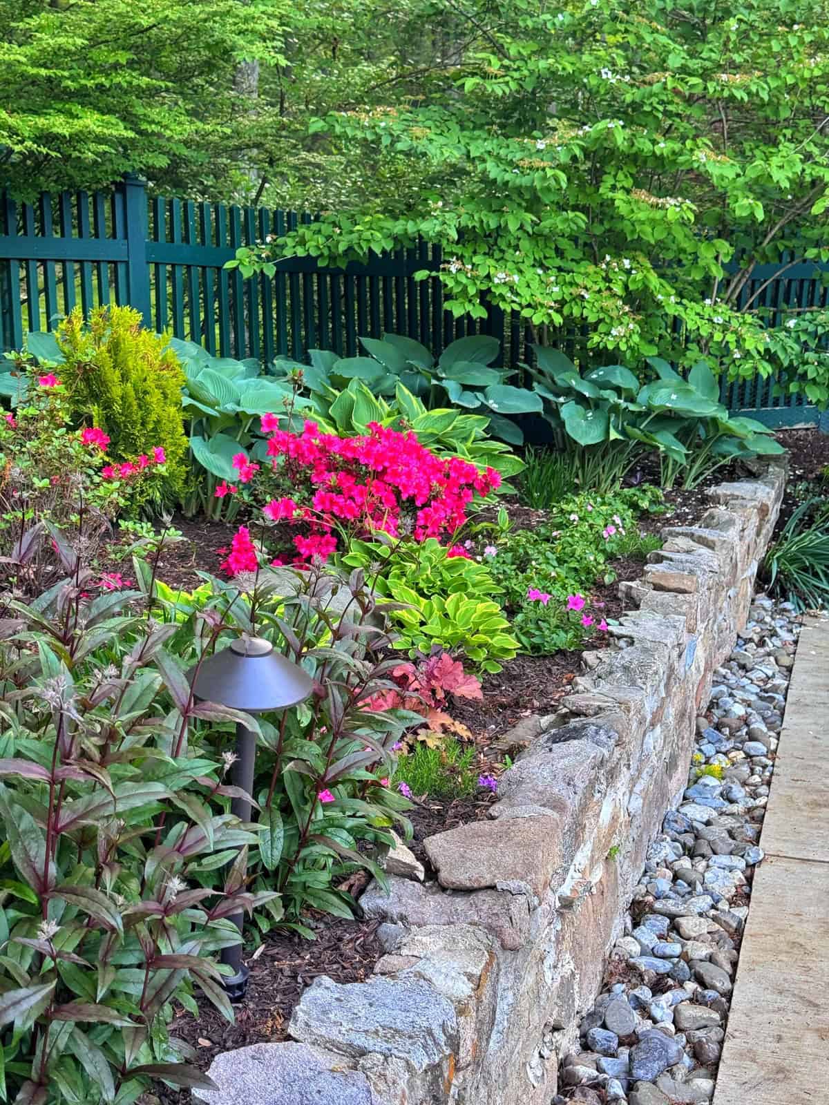A garden with blooming pink flowers, green leafy plants, and small shrubs bordered by a stone wall. A garden lamp and a gravel path are visible, with a green fence and trees in the background.