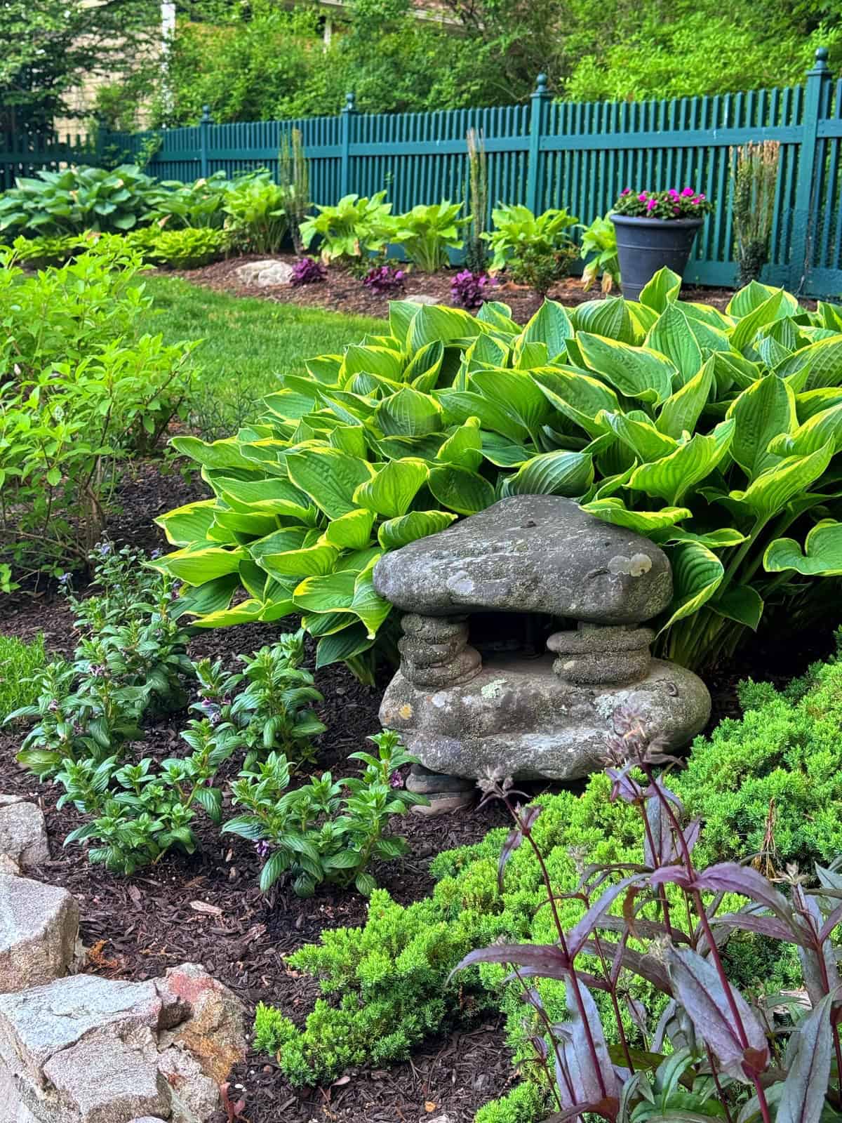 A lush garden with vibrant green hostas, various plants, and a small stone lantern near a teal picket fence. A potted plant sits on a tree stump in the background.