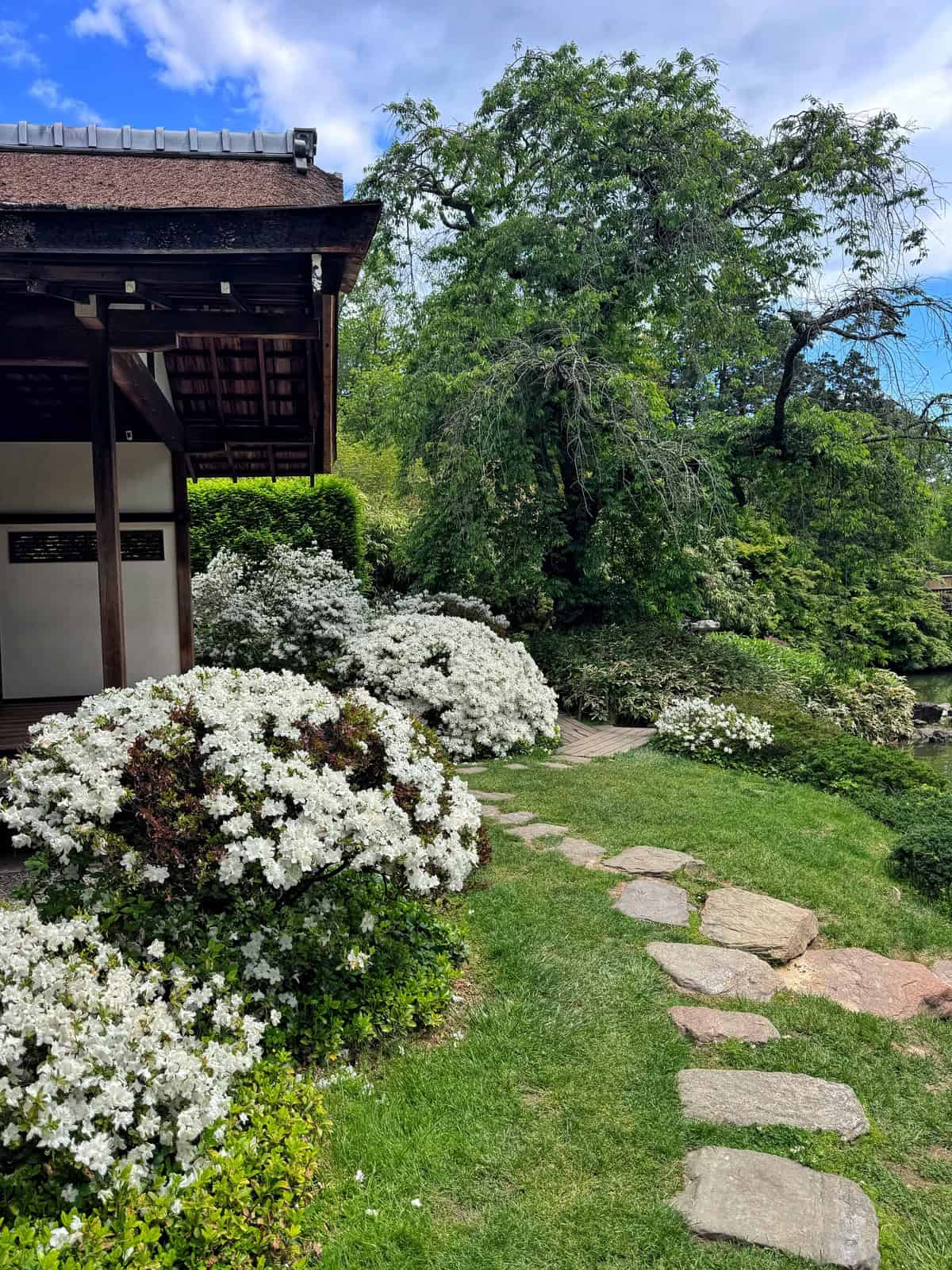 A stone path curves past white flowering bushes and lush greenery beside a traditional wooden building in a serene garden under a partly cloudy blue sky.