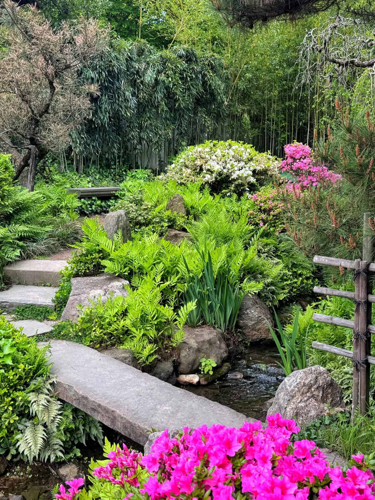 Lush garden with vibrant pink and white flowers, green ferns, stone pathways, and a small stream flowing beside rocks and plants. Wooden fence and dense trees in the background.