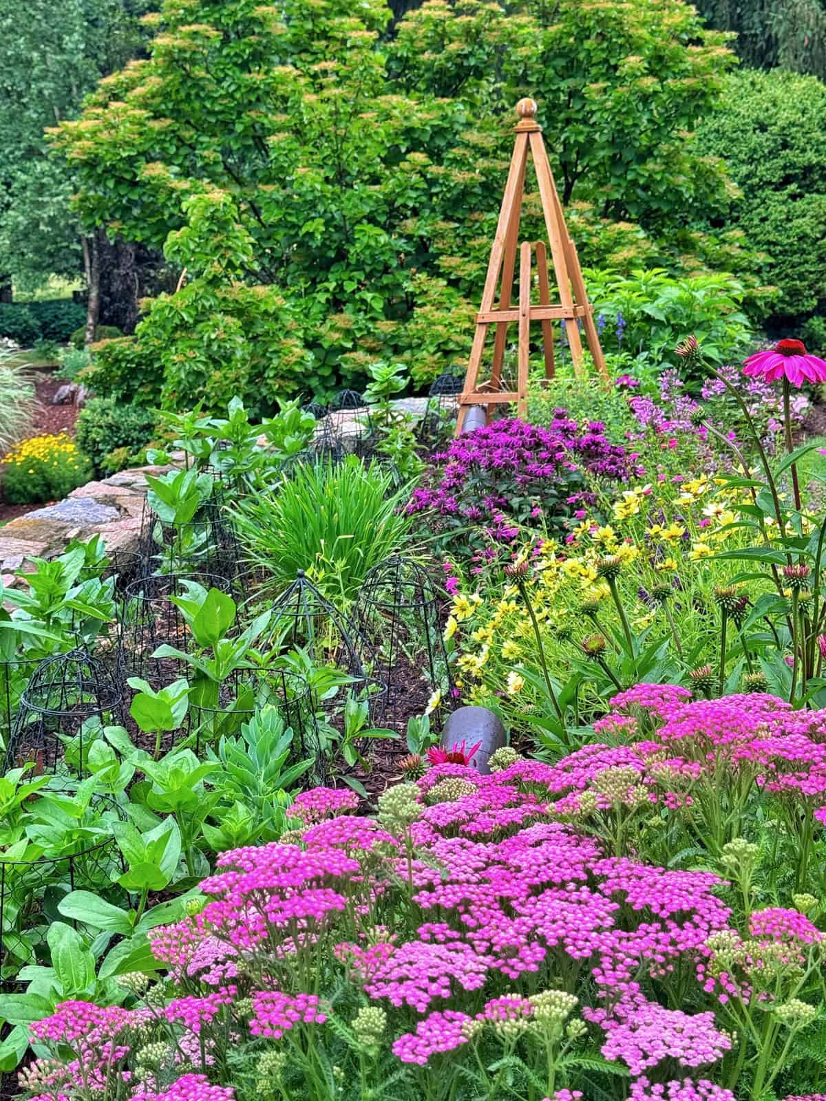 A vibrant garden with blooming pink, purple, and yellow flowers, lush green plants, and a wooden trellis in the background, surrounded by leafy trees and shrubs on a bright day.