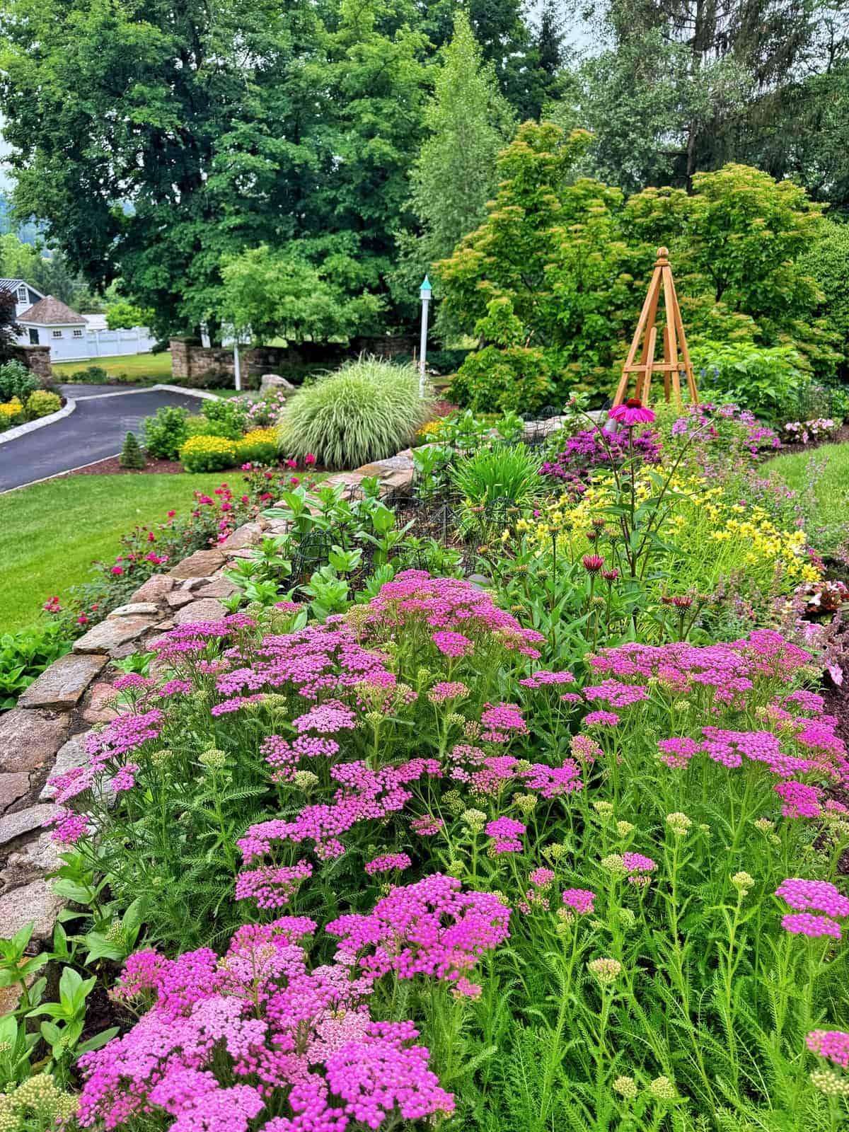 A vibrant garden with clusters of pink and purple flowers, bordered by a stone wall. Green shrubs, a wooden trellis, and trees are in the background, with a winding road visible to the left.