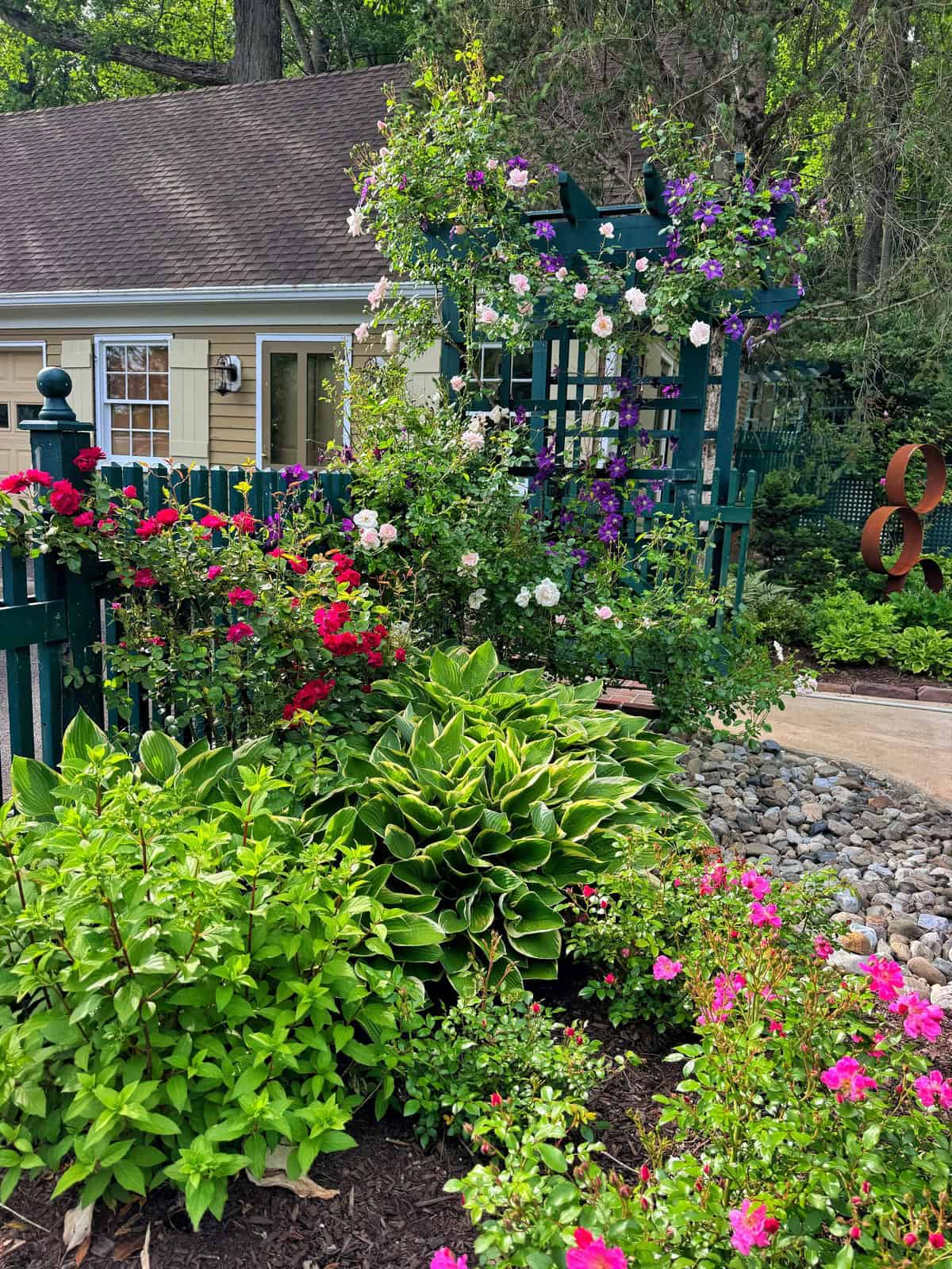 A colorful garden with blooming flowers, green shrubs, and a wooden trellis covered in purple and white roses, next to a small yellow house and stone pathway.