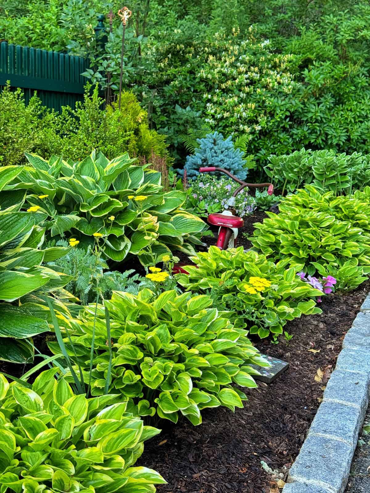 A lush garden with green and yellow hostas, small yellow flowers, and other shrubs. A red garden ornament shaped like a mushroom is nestled among the plants, with a stone border on the right side.