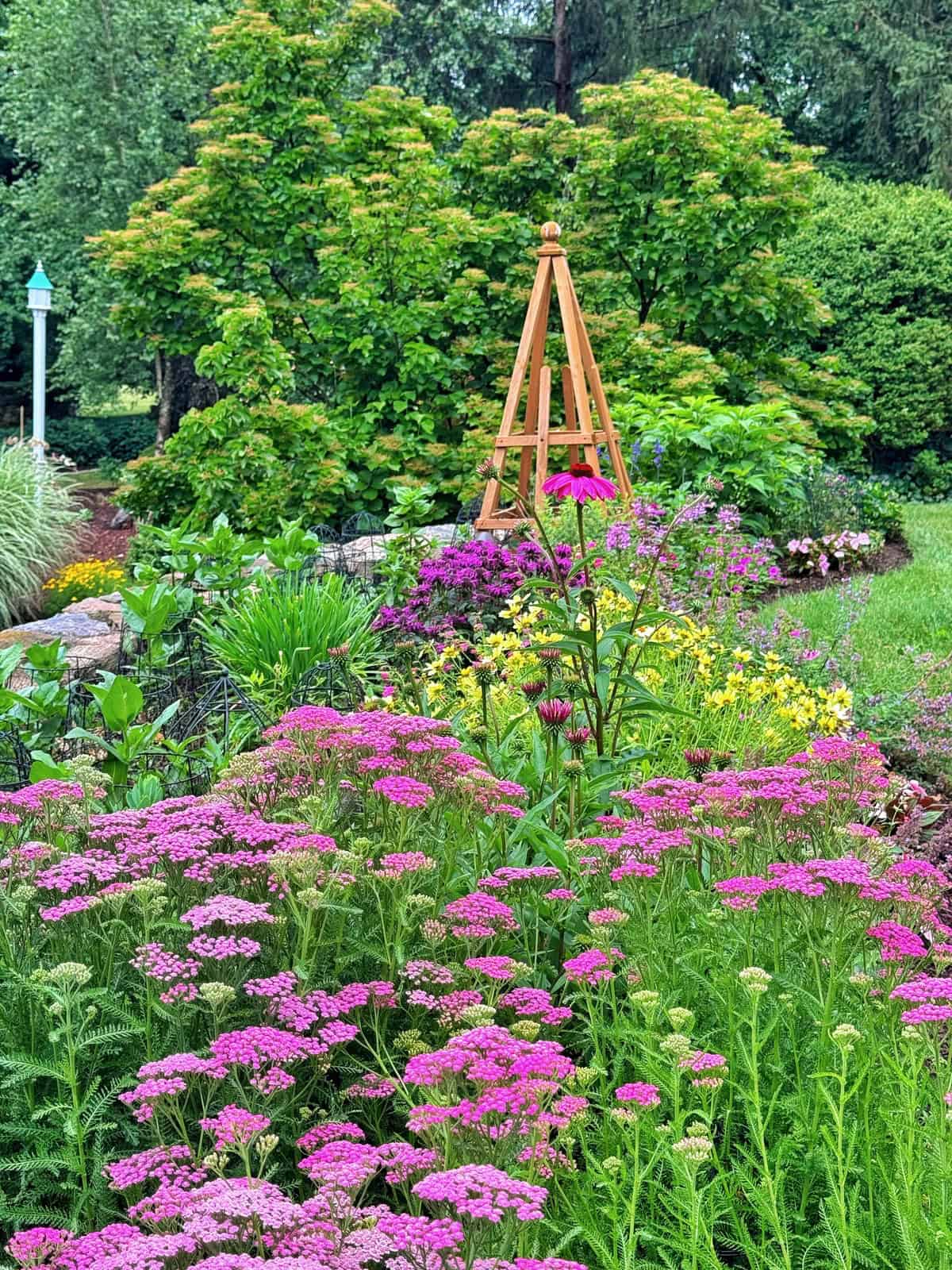 A lush garden with blooming pink, purple, and yellow flowers, tall green plants, and trees in the background. A wooden trellis stands in the center, surrounded by vibrant greenery and colorful blossoms.