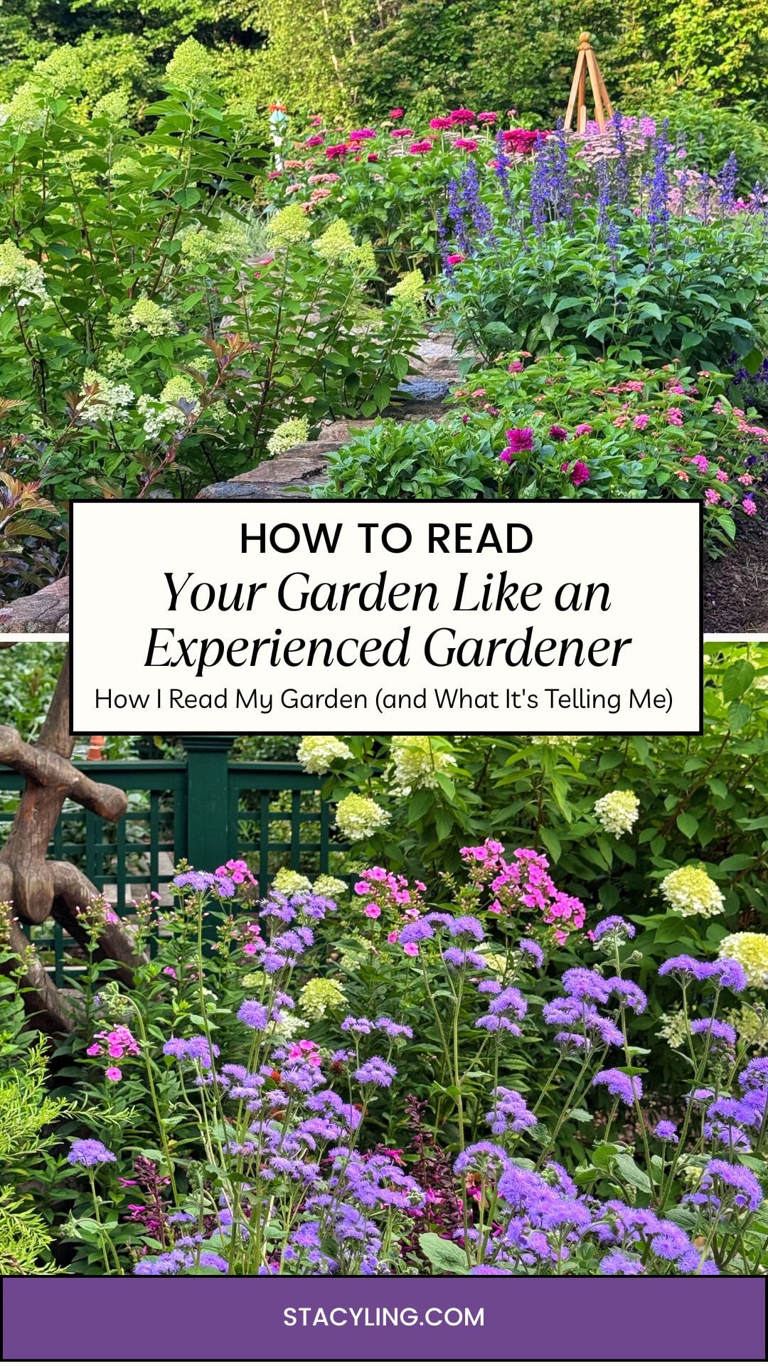 A lush garden with various blooming flowers and greenery, featuring a sign that reads "How to Read Your Garden Like an Experienced Gardener"—perfect for anyone wanting to learn how I read my flower garden—and "STACYLING.COM" at the bottom.