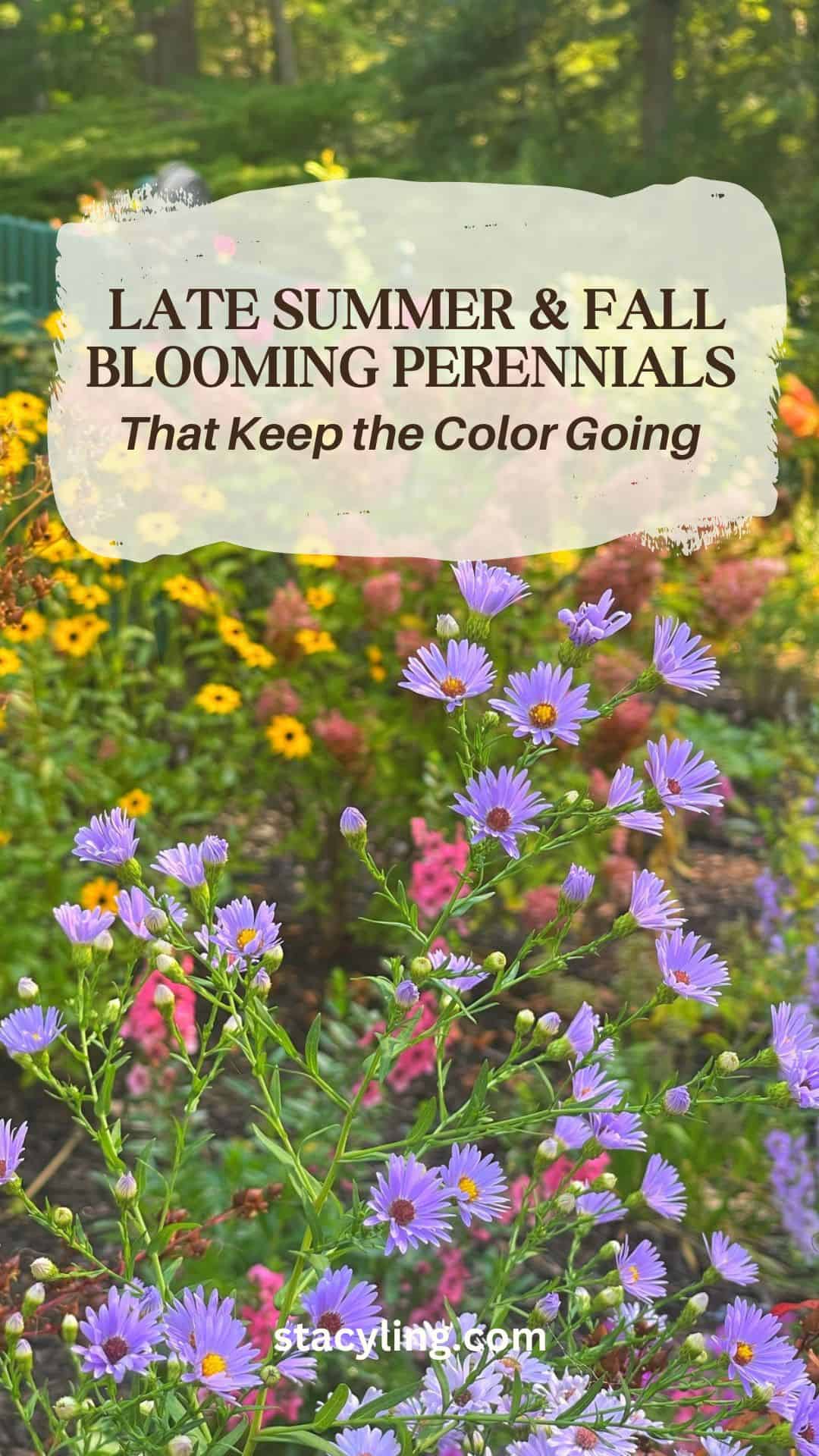 A garden with vibrant purple and yellow flowers in bloom. Text reads: “Late Summer & Fall Blooming Perennials That Keep the Color Going” with a website link at the bottom: stacyling.com. Discover beautiful fall blooming perennials for your landscape!.