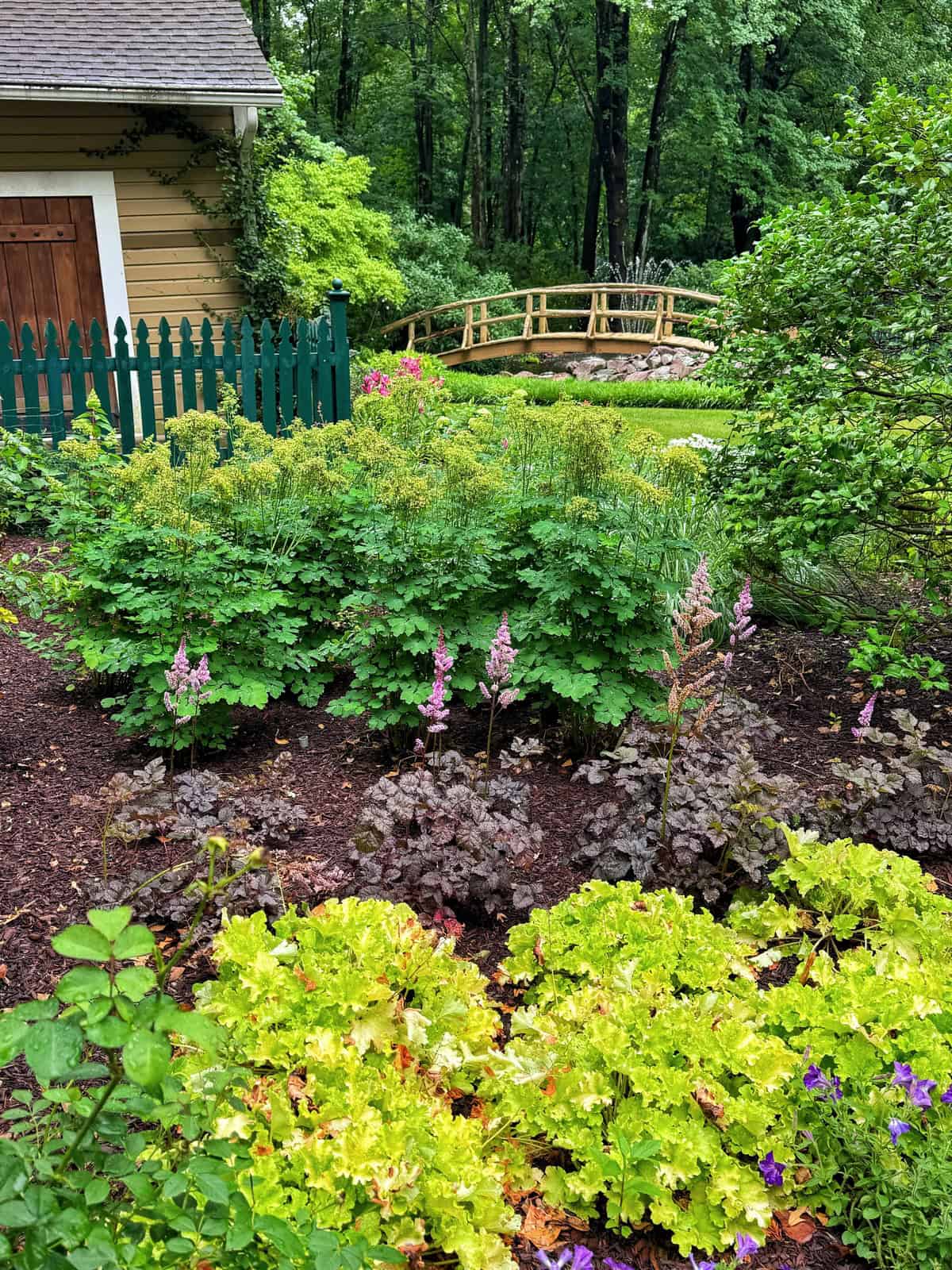 A lush garden with leafy plants and pink flowers, bordered by a green picket fence and a tan shed. A wooden footbridge crosses over rocks in the background, with tall trees and greenery surrounding the scene.