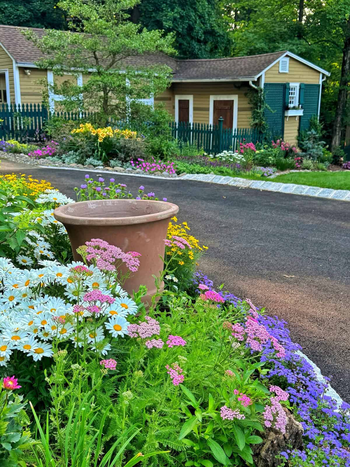 A garden with vibrant flowers, including daisies and purple blooms, surrounds a large empty clay pot beside a paved path. In the background, there is a yellow house with green shutters and a picket fence.