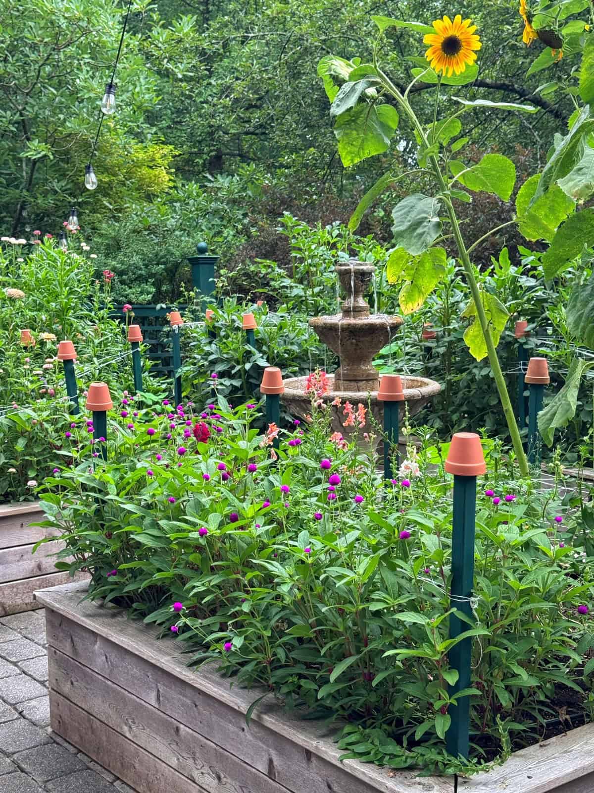 A garden with raised beds full of flowers, a tall sunflower, small pots on stakes, and a stone fountain in the background, surrounded by greenery.