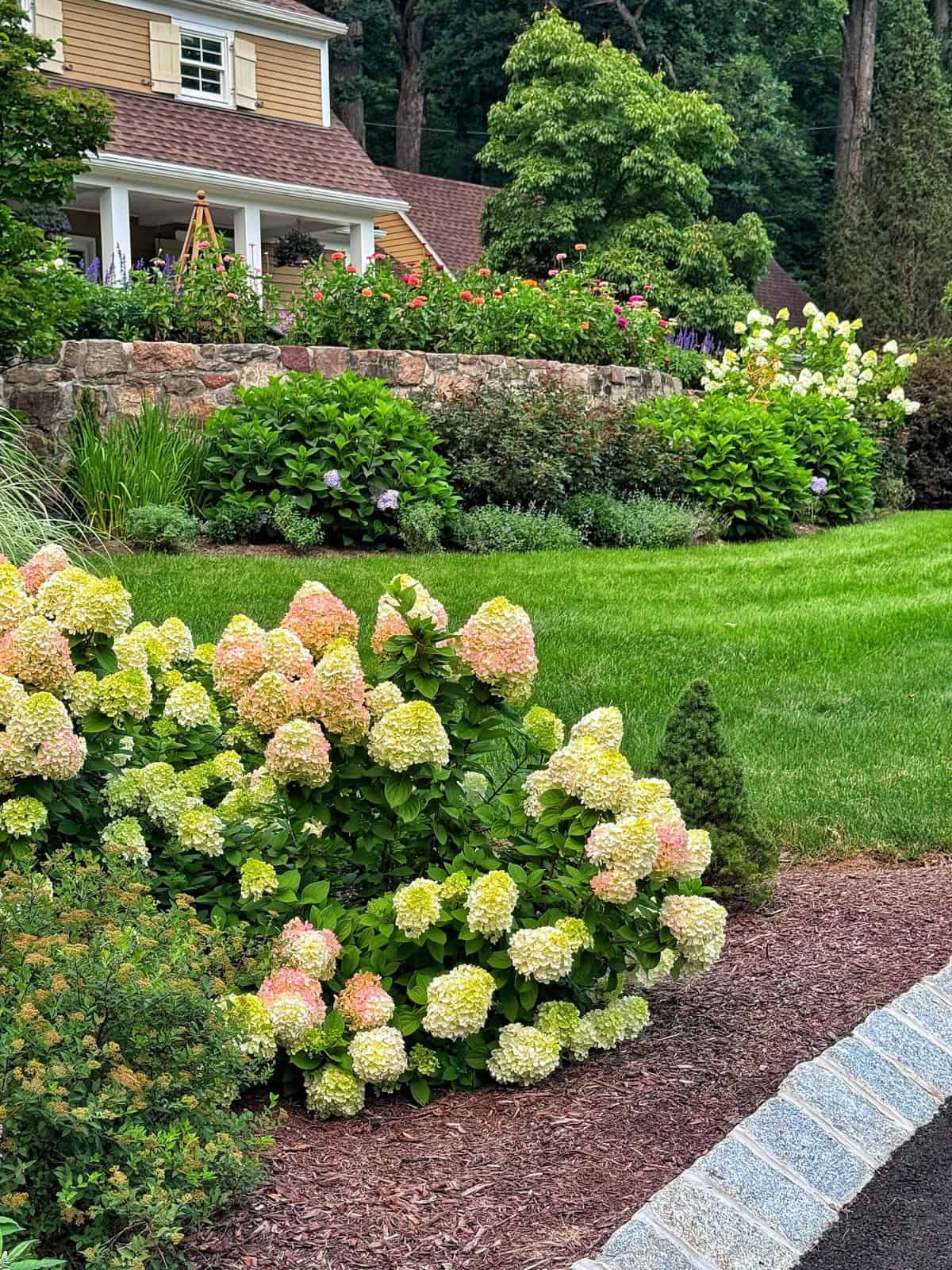 A well-maintained yard with lush green grass, blooming hydrangeas, shrubs, and a stone wall in front of a tan house with a porch and white railings.
