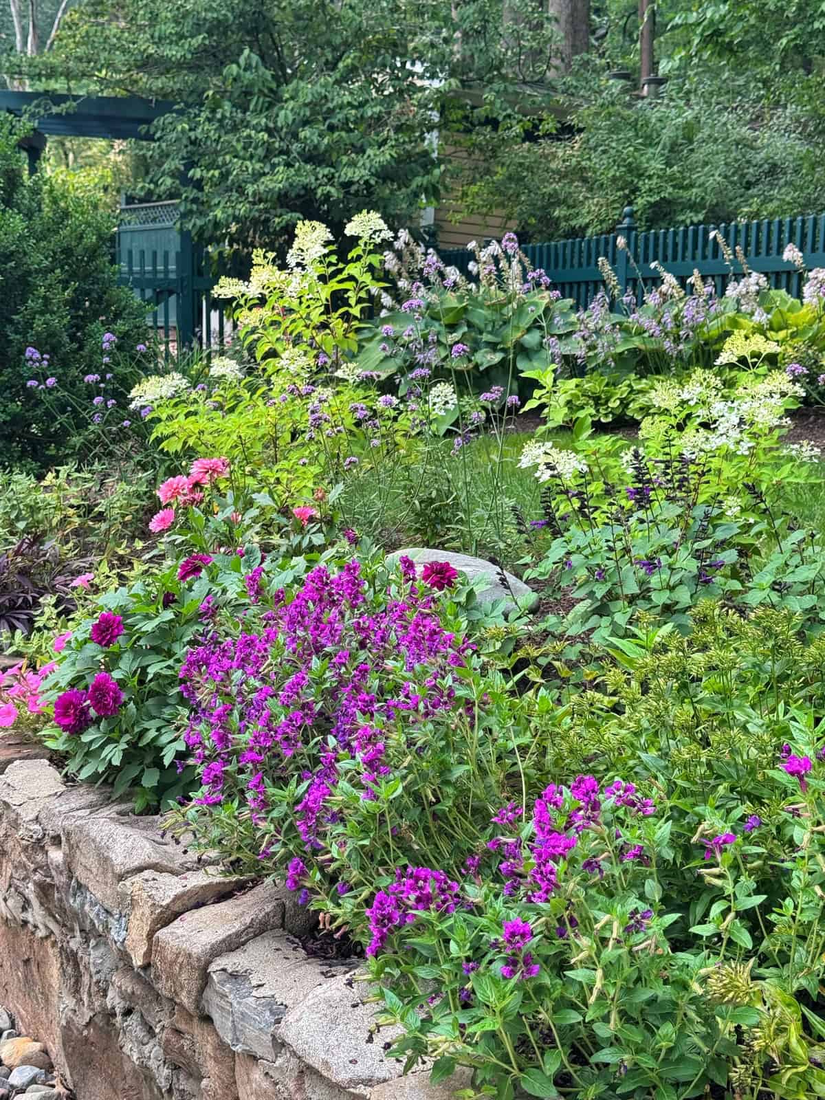 Colorful flowers, including purple and pink blooms, grow in a raised stone garden bed with lush green foliage and a blue fence in the background.
