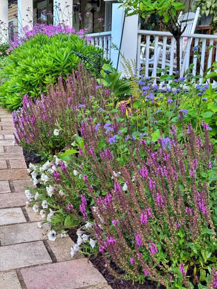 A vibrant garden bed with blooming purple, pink, and white flowers lines a brick walkway beside a porch with white railings and rocking chairs.