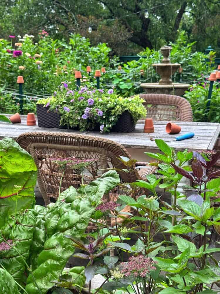A wooden garden table with wicker chairs is surrounded by lush plants and flowers. Small terracotta pots and gardening tools rest on the table. A stone fountain is visible in the background.