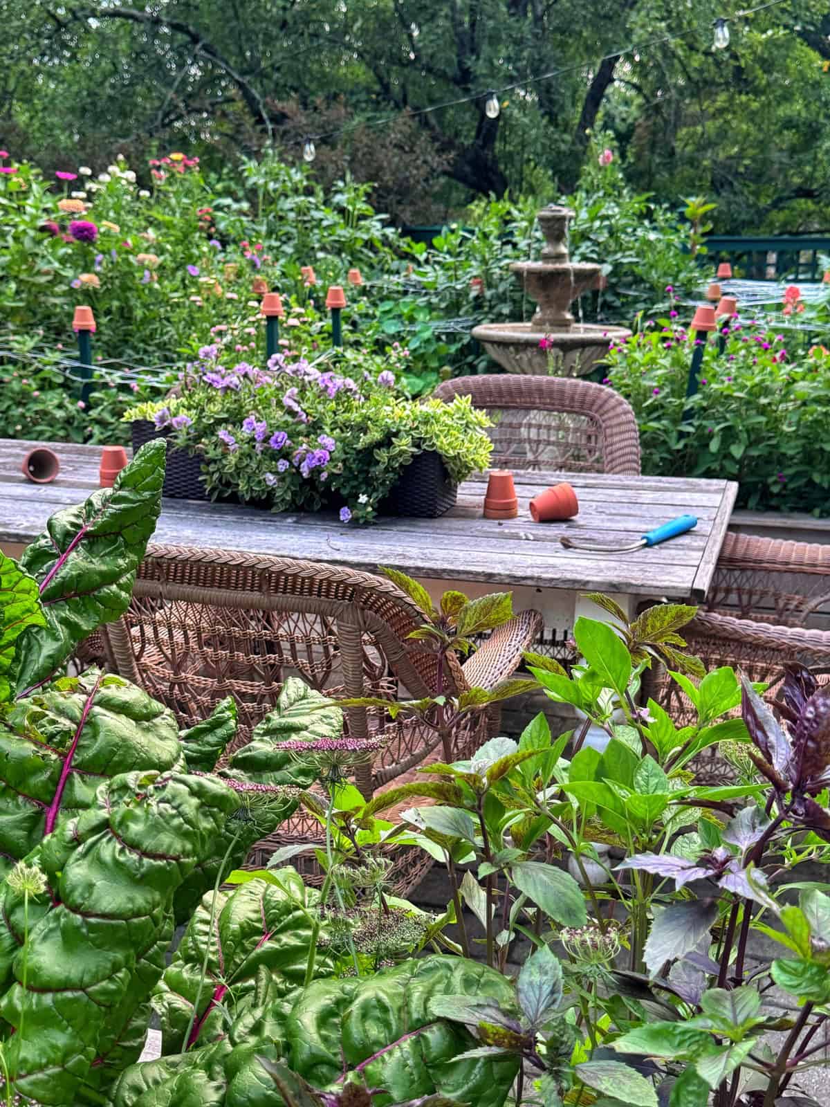 A wooden table with wicker chairs sits in a lush garden. Flower pots, a planter with purple flowers, and a blue marker are on the table. Green plants and flowers surround the area; a fountain is in the background.