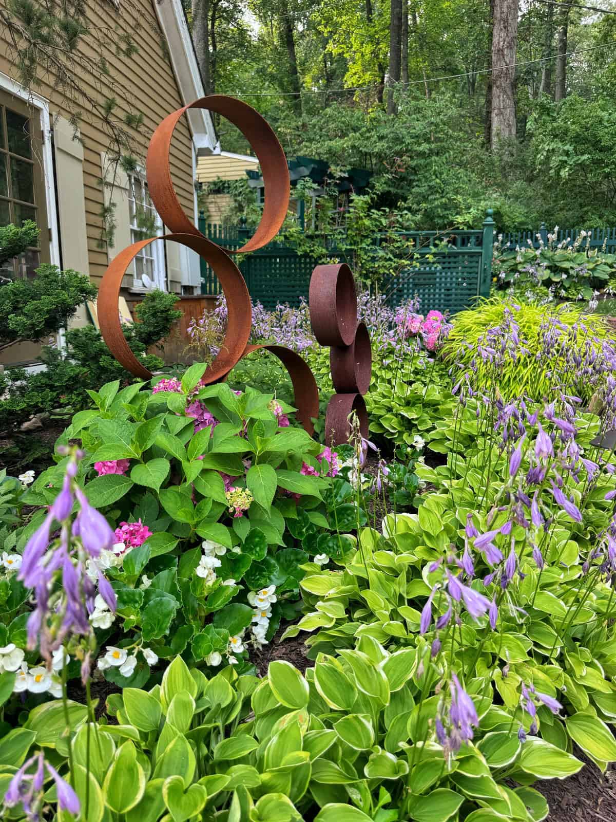 A lush garden with purple flowers, green hostas, and white blooms surrounds a rust-colored metal sculpture of interlocking circles. A tan house and trees are in the background.