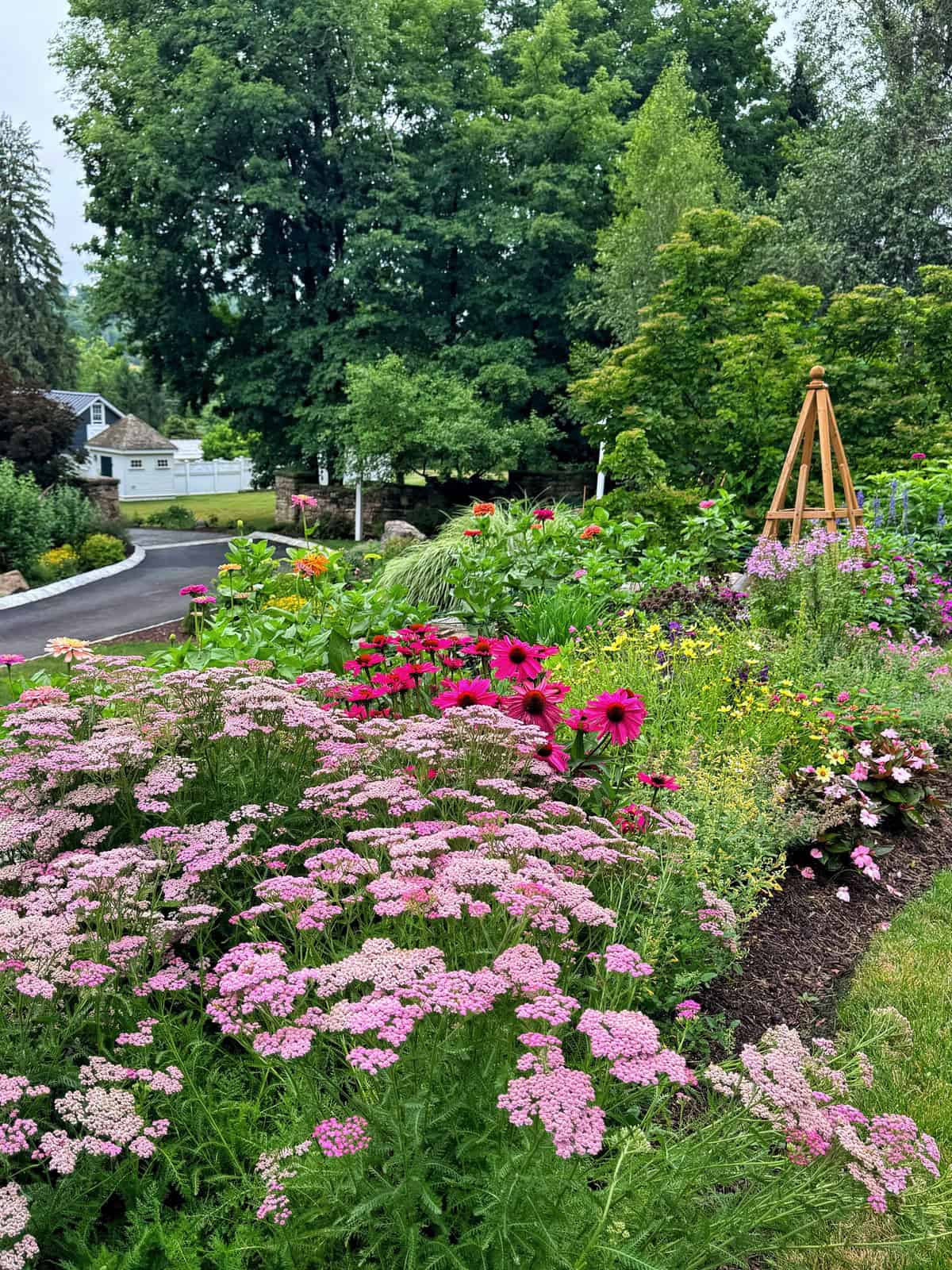 A lush garden with pink and purple flowers, green foliage, and a wooden trellis structure, set beside a curved driveway with trees and a white house in the background.