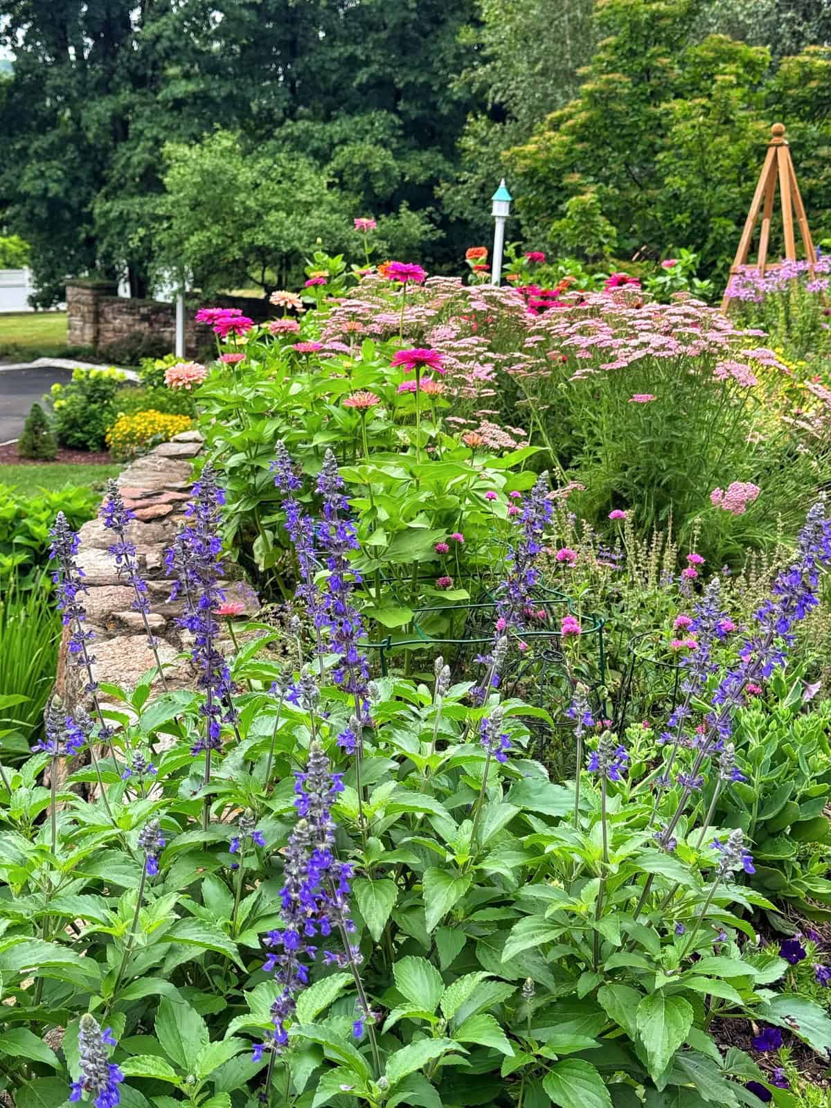 A vibrant garden with blooming purple, pink, and yellow flowers, lush green foliage, and a stone wall. Trees and a birdhouse are visible in the background.