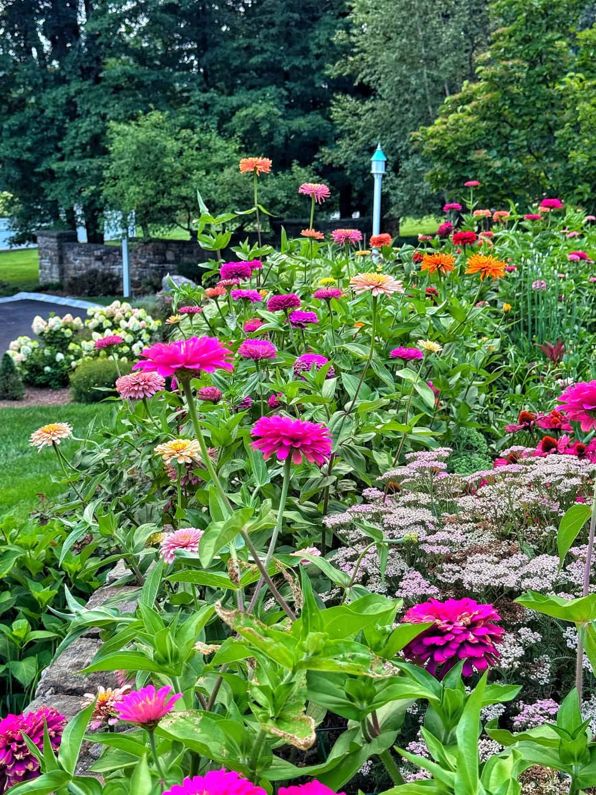 A vibrant garden with pink, orange, and magenta flowers blooming in the foreground, lush green grass, and trees in the background on a bright day.