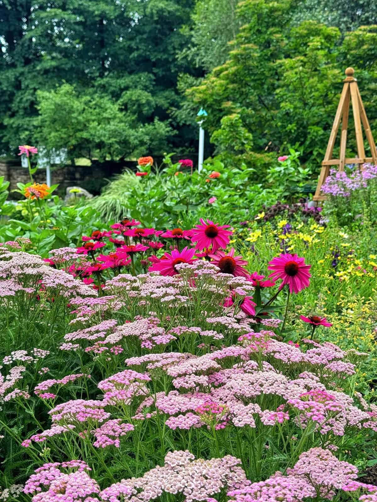 A lush garden scene with clusters of pink and magenta flowers, green foliage, and a wooden trellis structure in the background, surrounded by dense trees and vibrant vegetation.