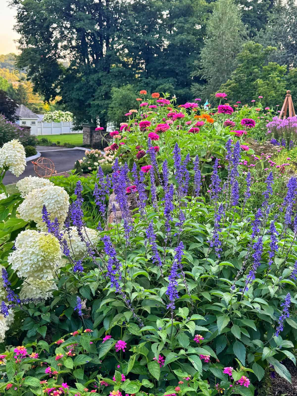 A colorful garden with tall purple and white flowers in front, bright pink flowers behind, and green trees in the background on a sunny day.
